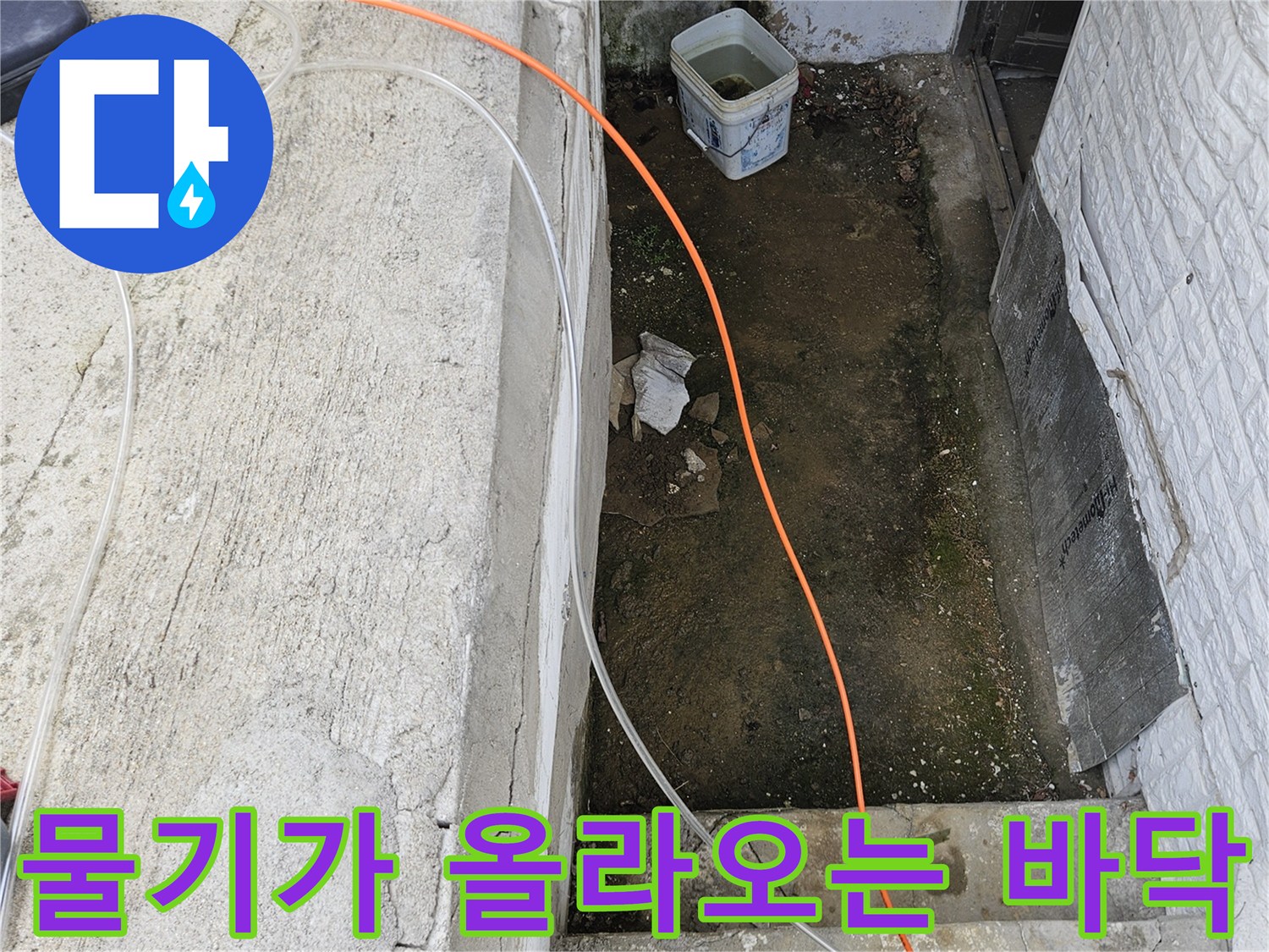 계단 아래-습한 지면과-콘크리트 틈새