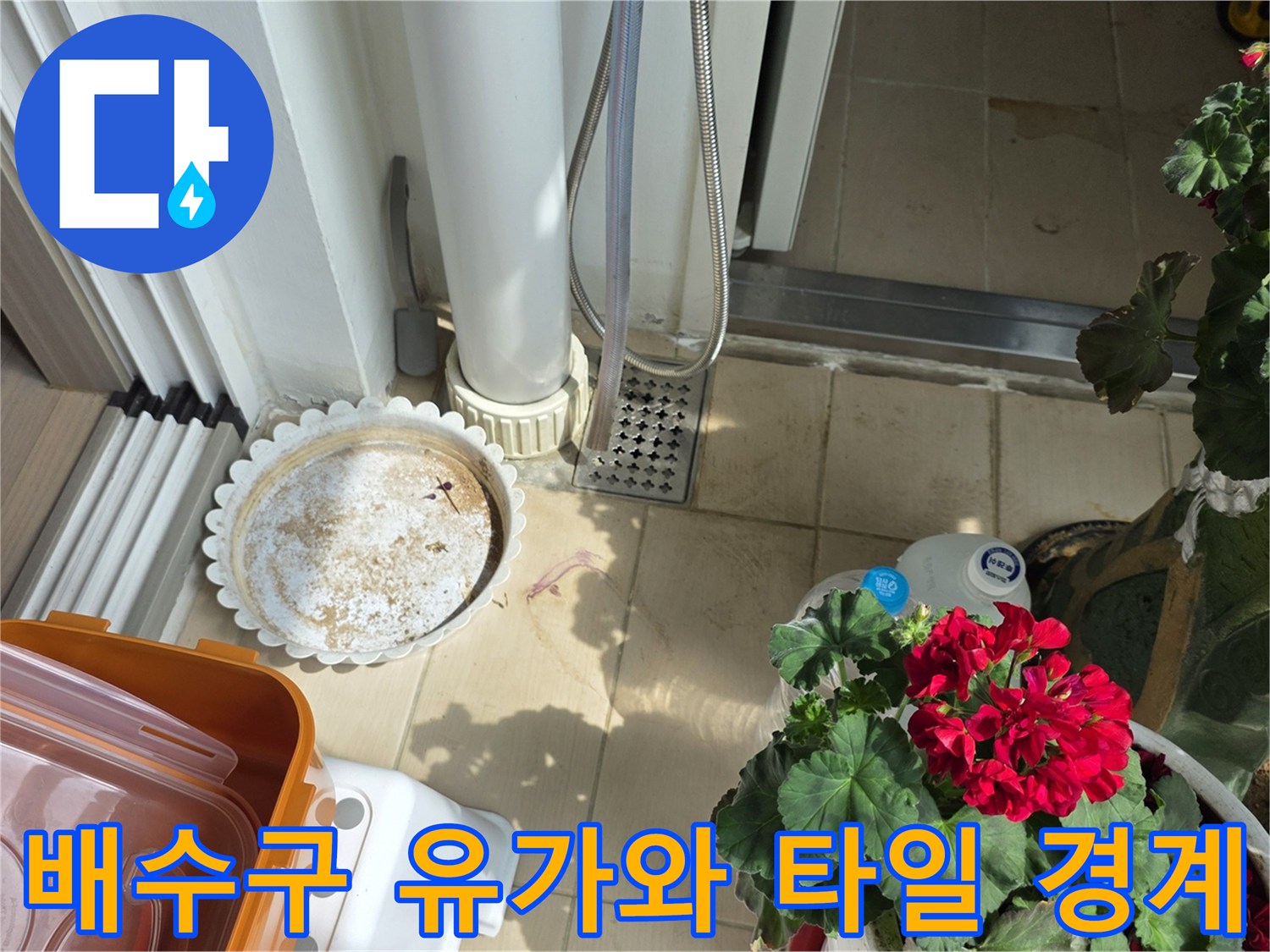 화장실 하수구 배수구 주변의 타일 사이 틈새를 근접 촬영한 사진입니다.