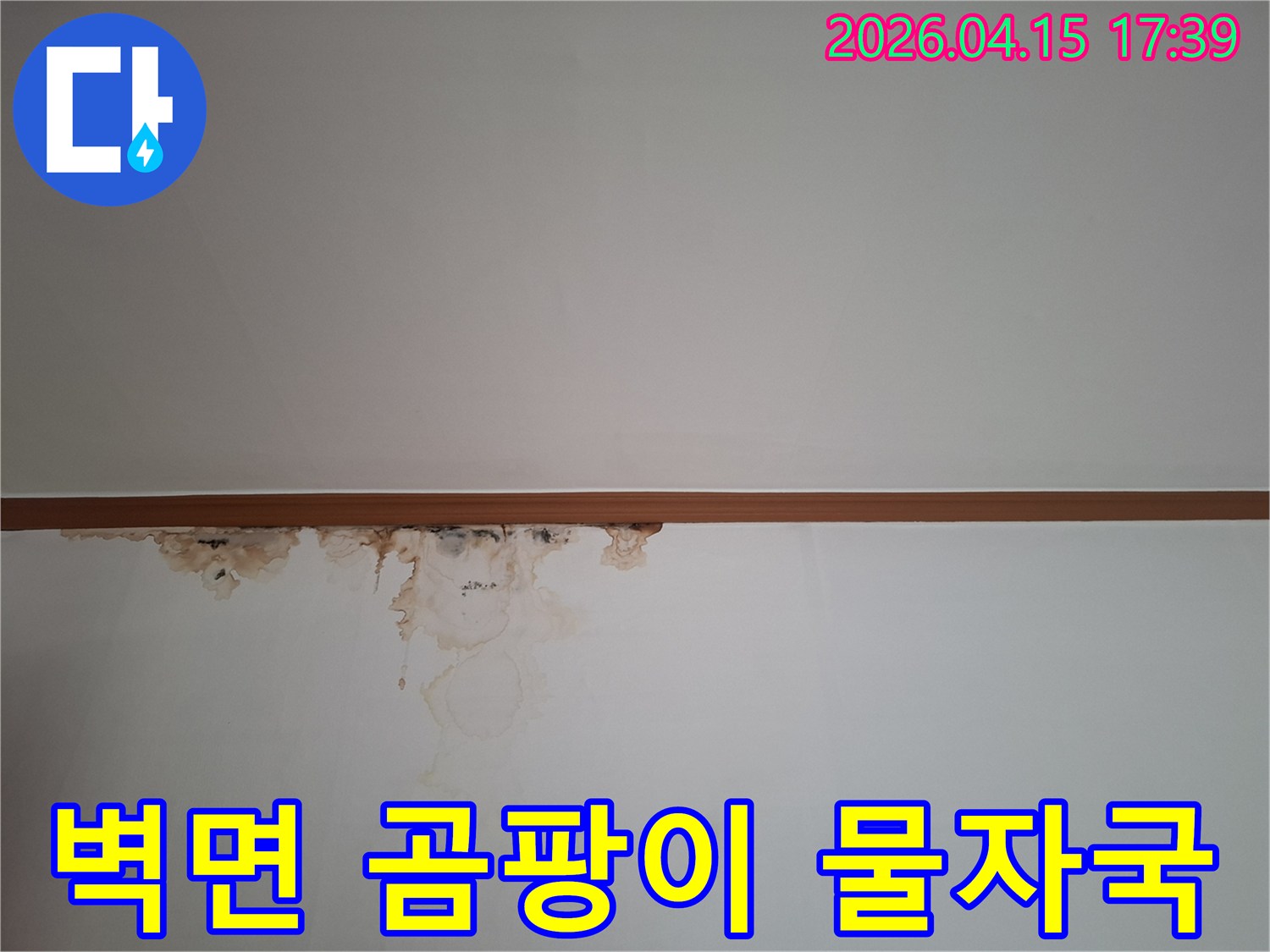 천장과 벽이 만나는 부분에-누수로-인한-심한-물자국과-검은-곰팡이가-번져있는-현장-모습을-보여주는-사진입니다