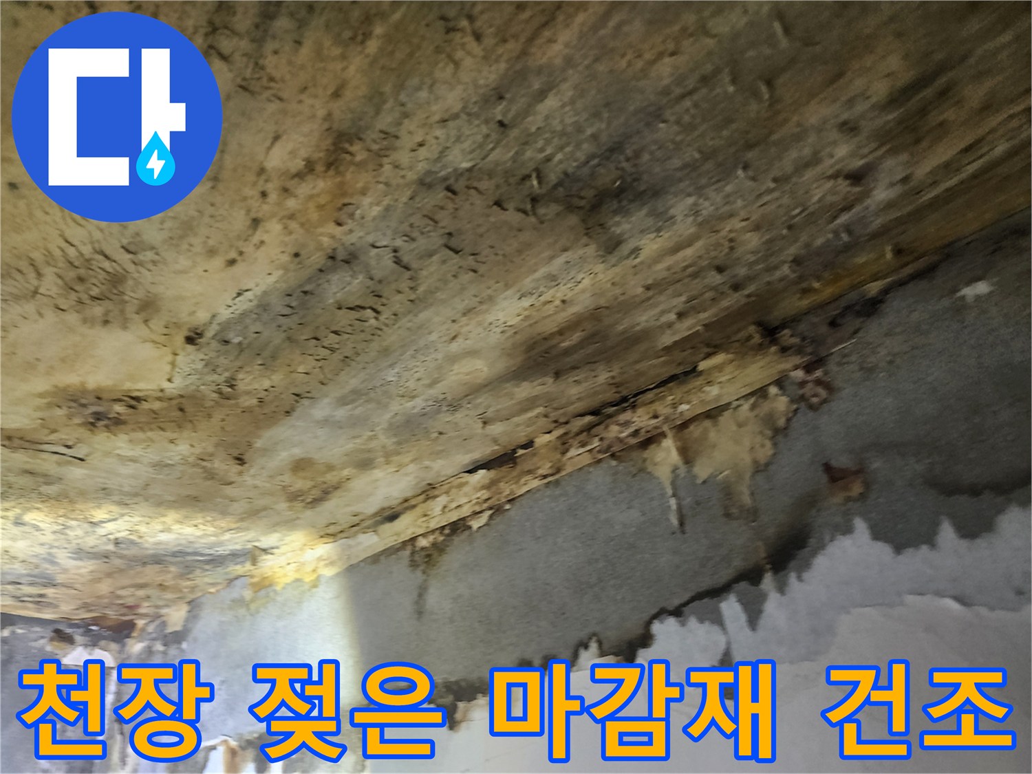 누수로-인해-물에-젖은-천장-마감재를-전문-장비를-이용하여-건조하는-과정