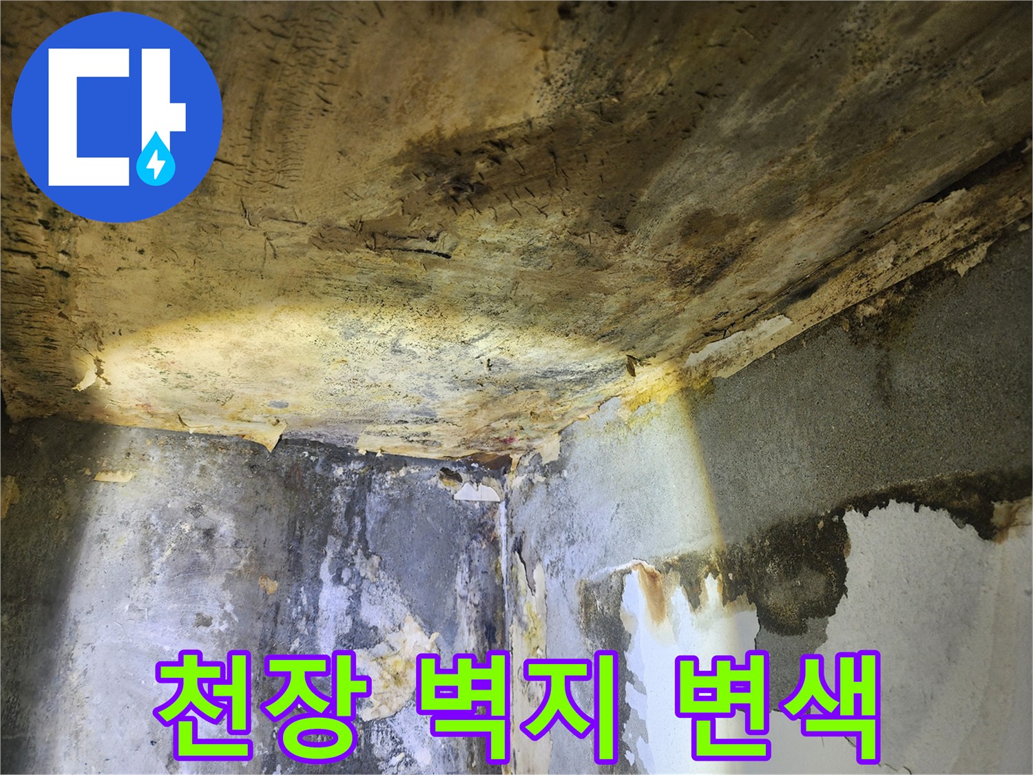 누수로 인해-천장과 벽면의 벽지가 변색되고-얼룩이 심하게 생긴 현장