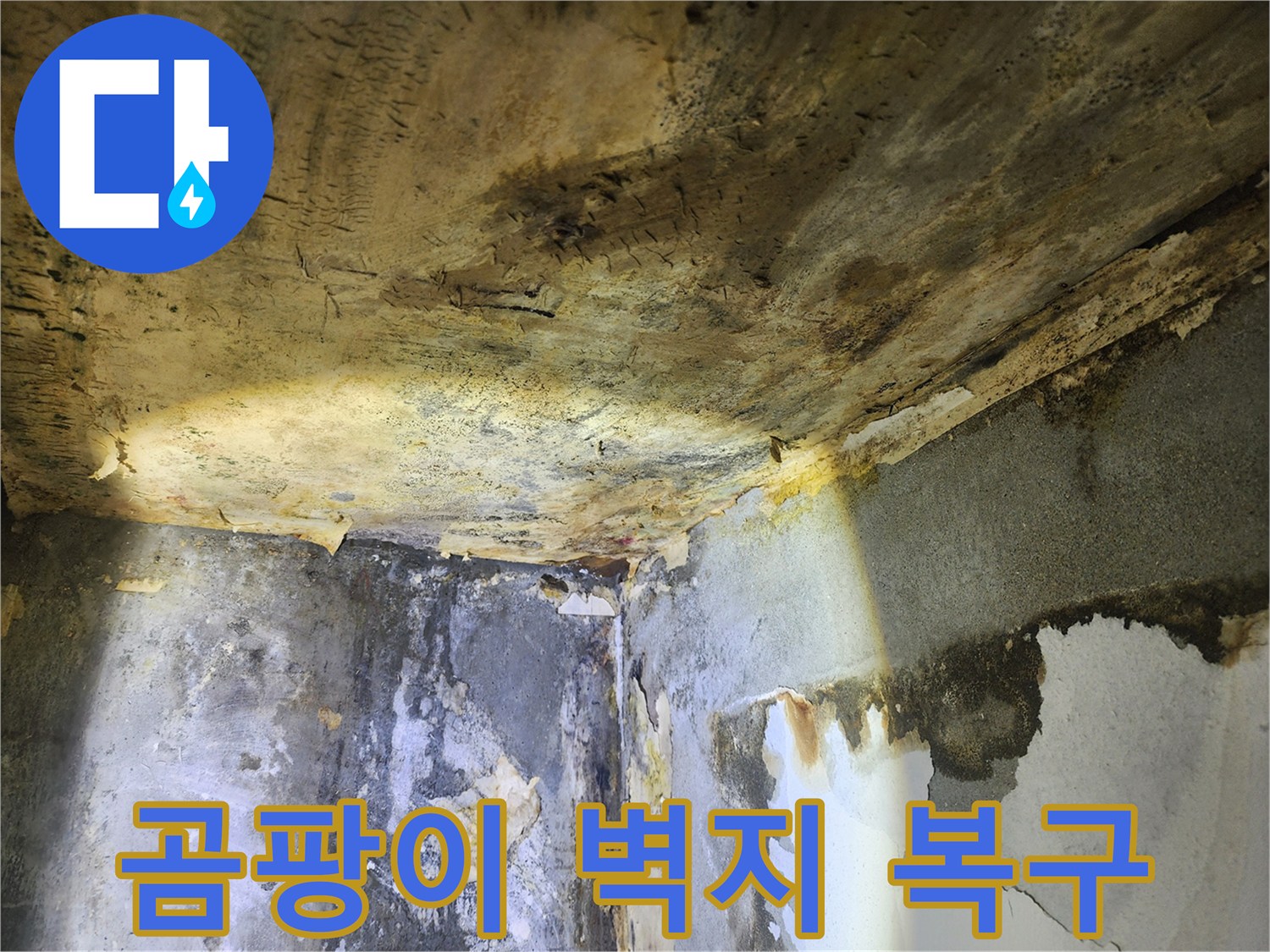 누수로 인해-천장과 벽에 발생한-심각한 곰팡이와-벽지 손상을 복구하는 현장
