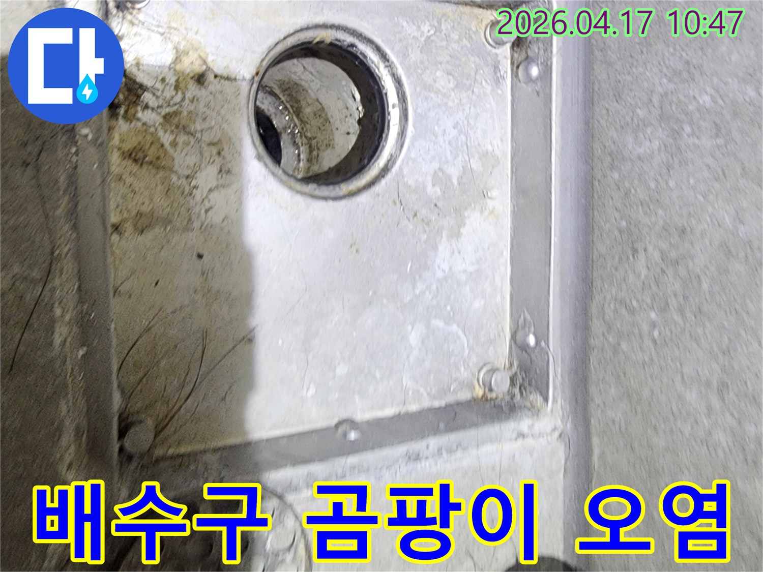 욕실 배수구 주변에-발생한 곰팡이와-오염 상태를 통해-누수 발생 여부를-면밀히 확인하는-현장 점검 사진입니다