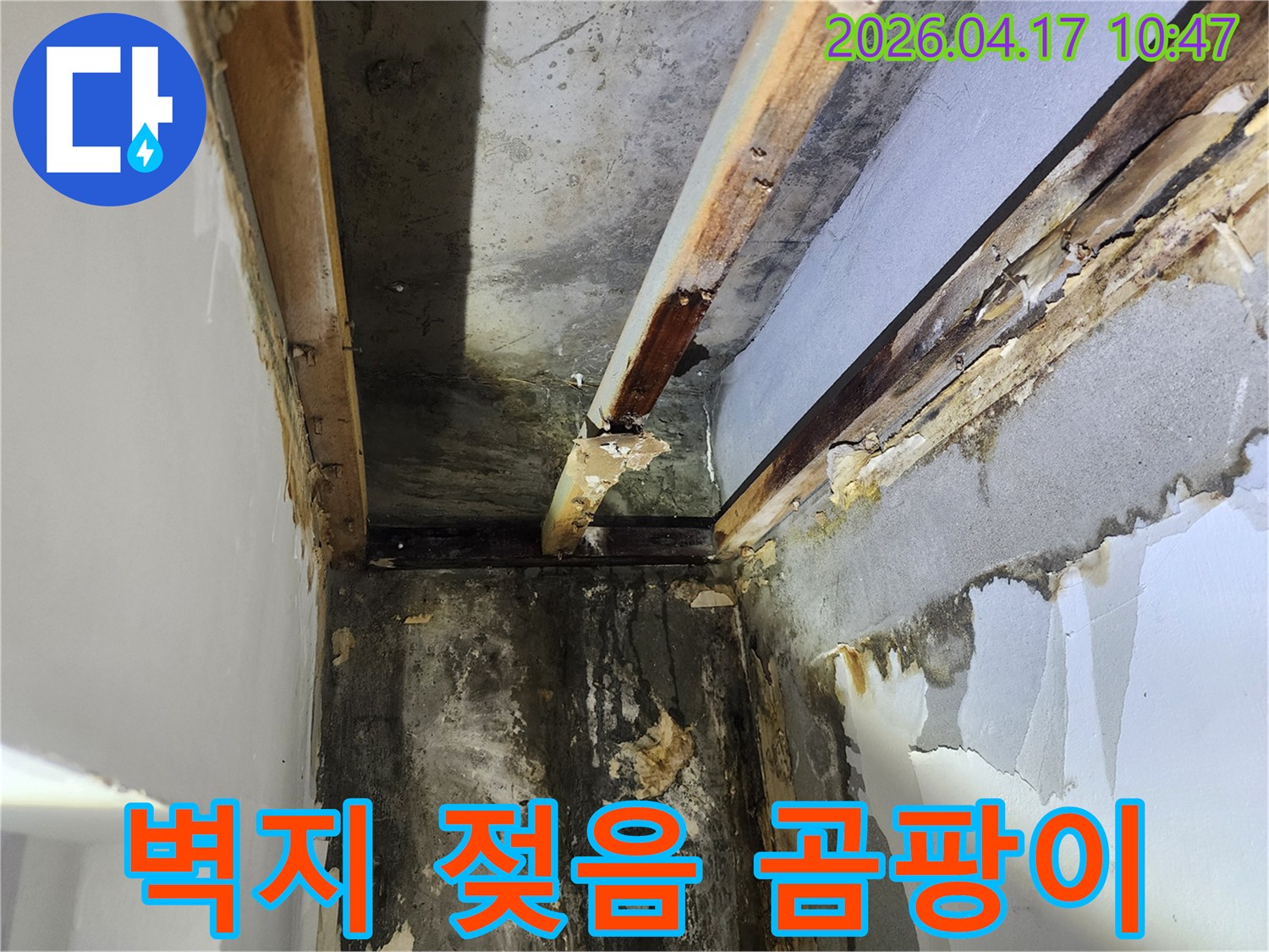 이 이미지는-서울 서초구 잠원동에서 발생한-천장 누수로 인한-심각한 벽지 젖음과-곰팡이 발생 현장을 보여줍니다
