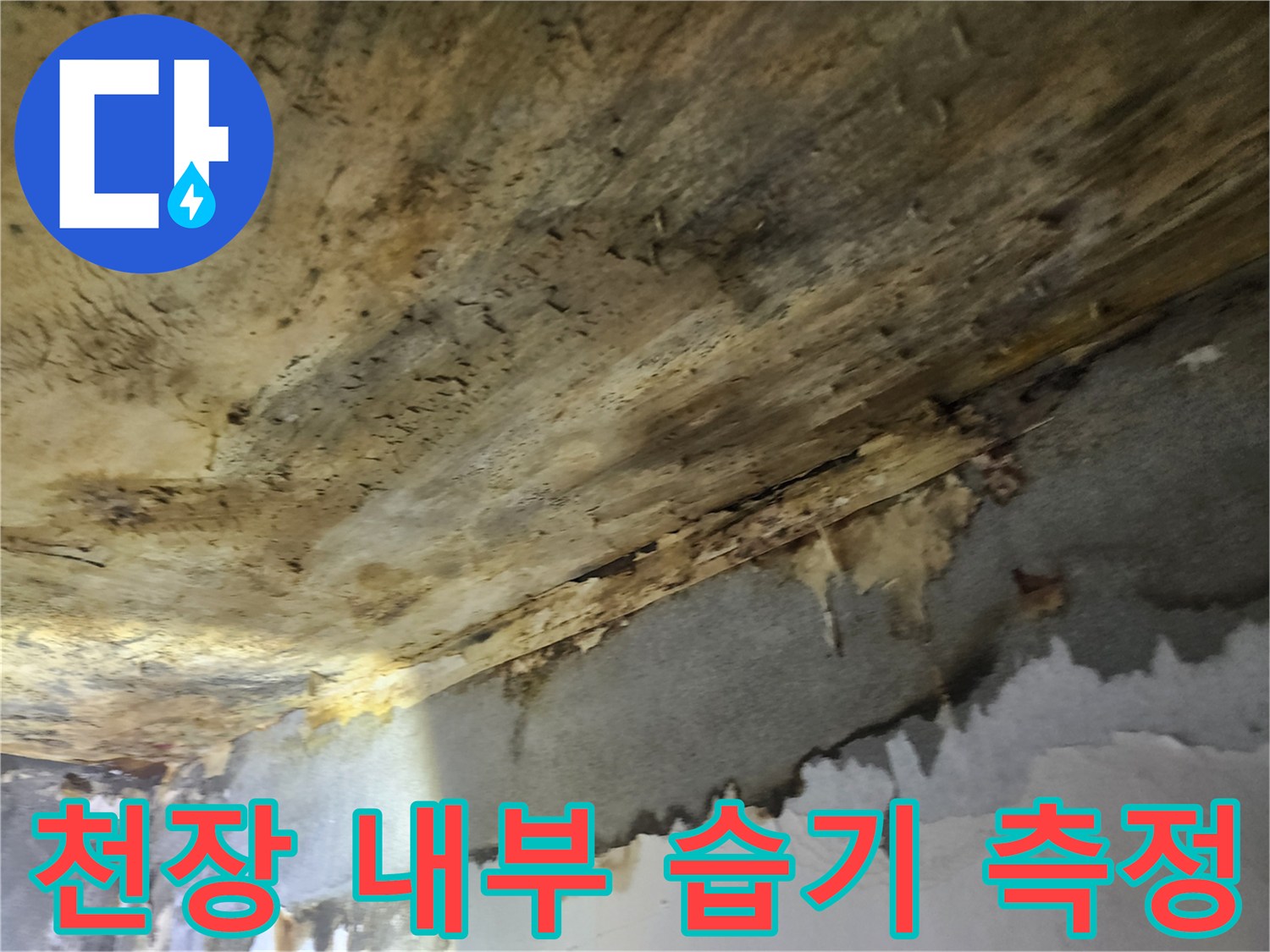 천장-마감재-내부의-습기-정도를-측정하여-누수-여부를-판단하는-전문가의-모습