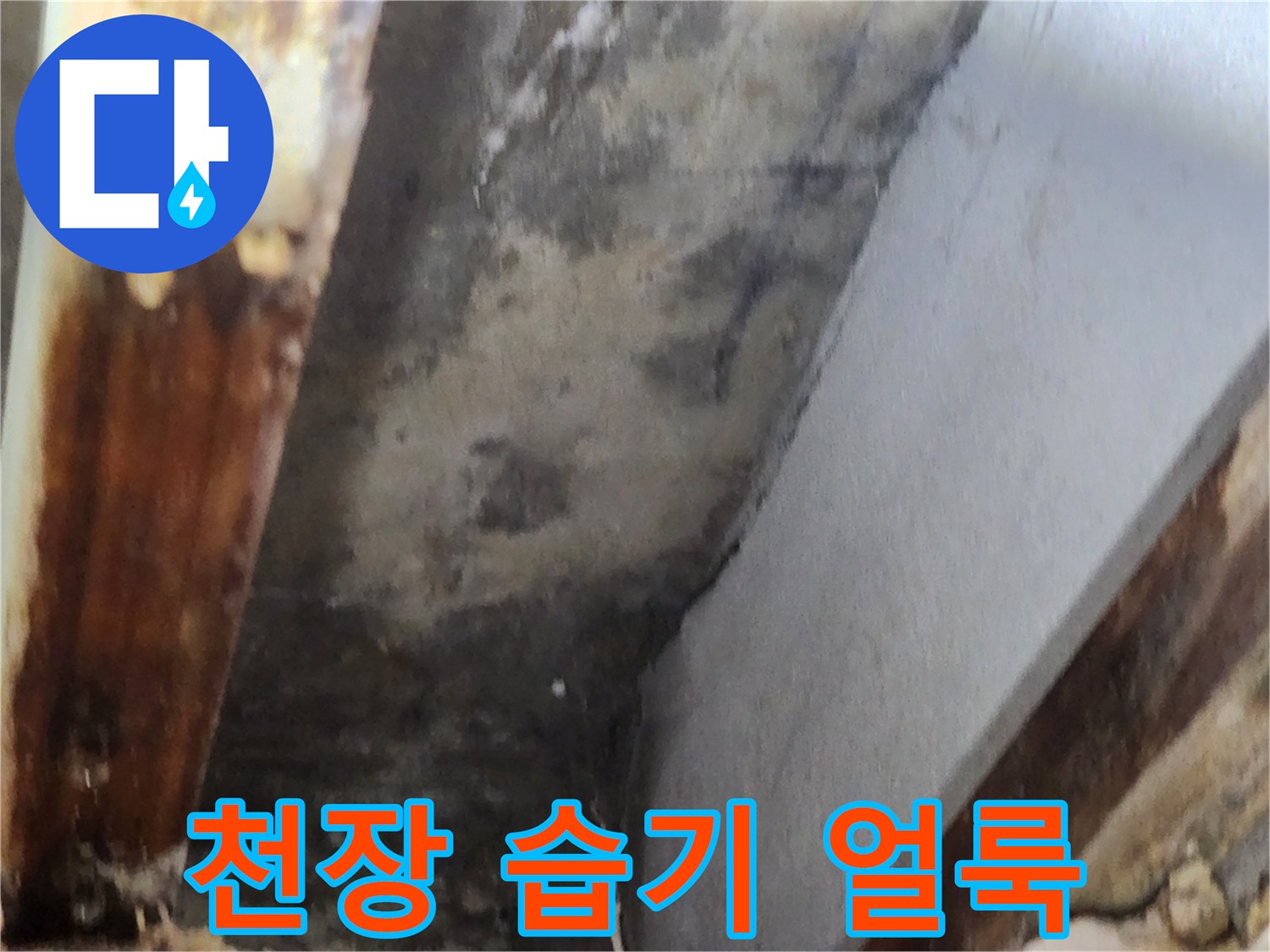 천장 모서리 부분에 나타난 심한 습기 얼룩과-곰팡이 번식 상태를 보여주는 이미지입니다