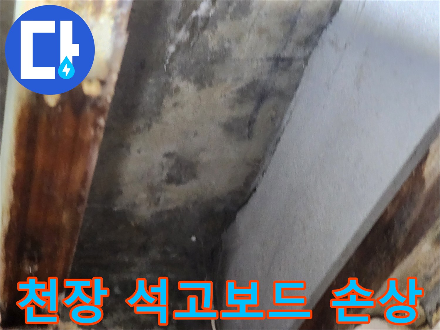 천장 석고보드에 누수로 인한 물자국과-곰팡이 번식으로 인한 심각한 손상 현장을 보여줍니다