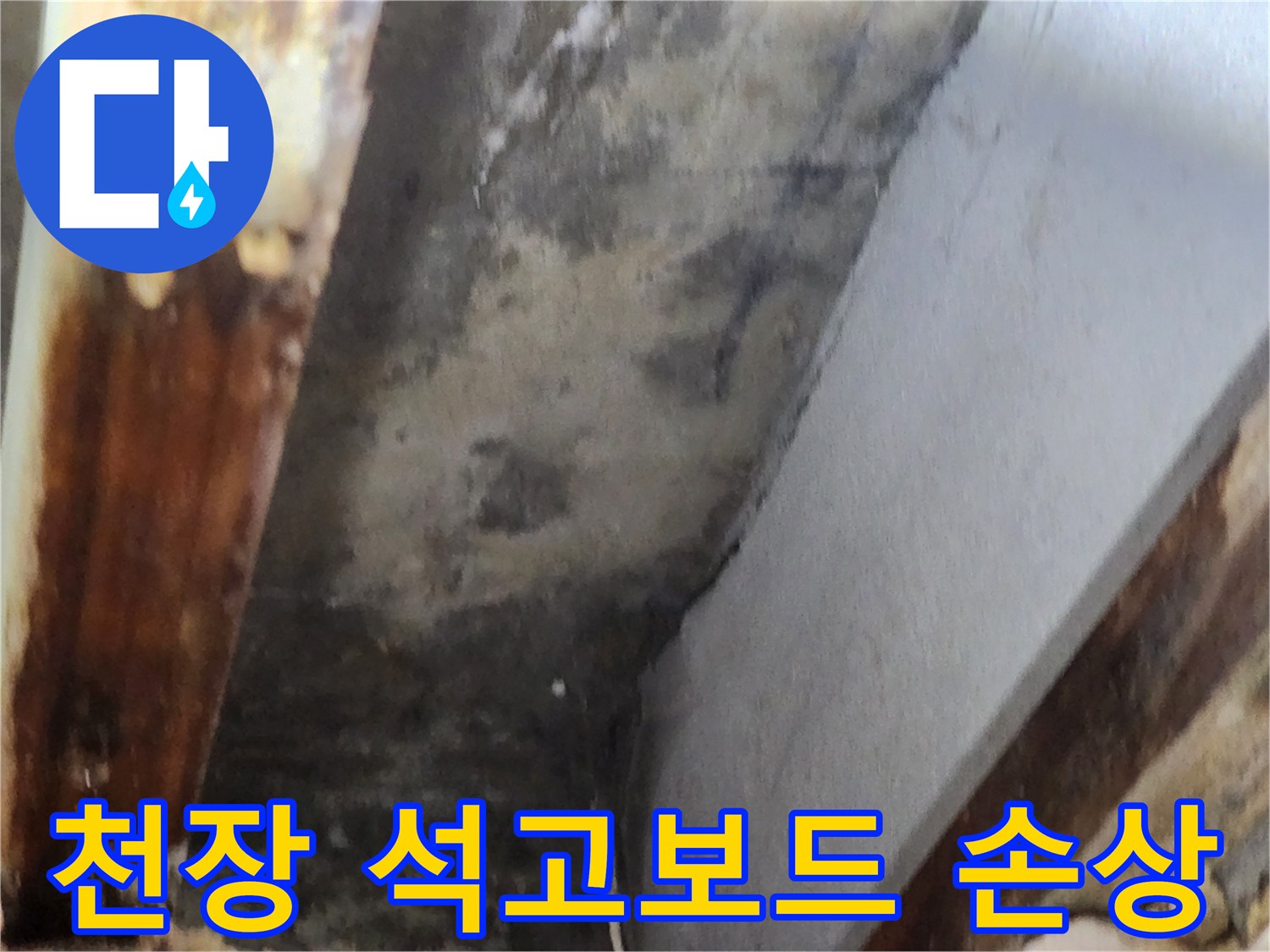 천장 석고보드에 누수로 인한 물자국과-곰팡이 번식으로 인한 심각한 손상 현장을 보여줍니다