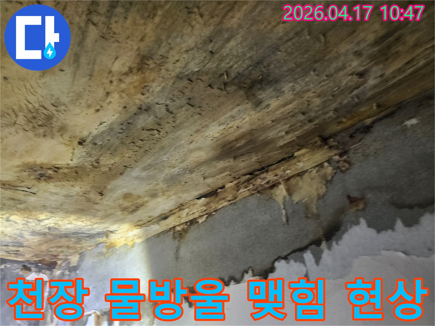 천장에서-물방울이-맺히고-떨어지는-누수-현상으로-인해-마감재가-손상된-모습