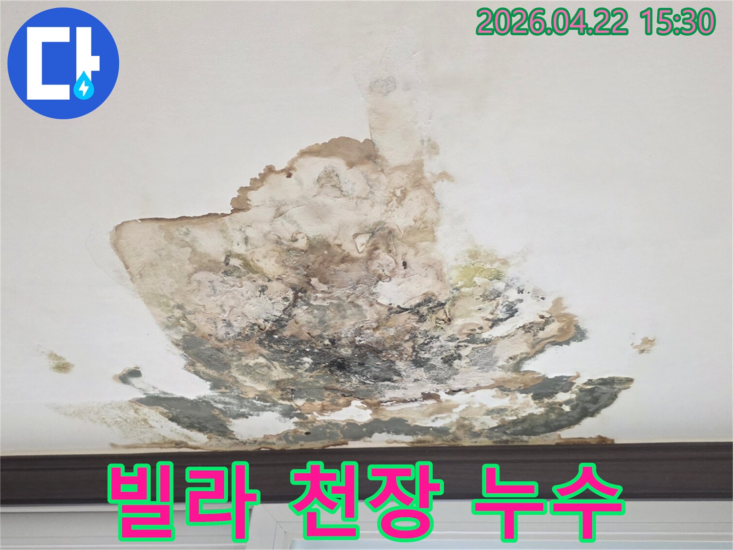 빌라-천장에-발생한-누수-흔적과-곰팡이로-정밀-탐지-후-보수가-필요한-상황입니다
