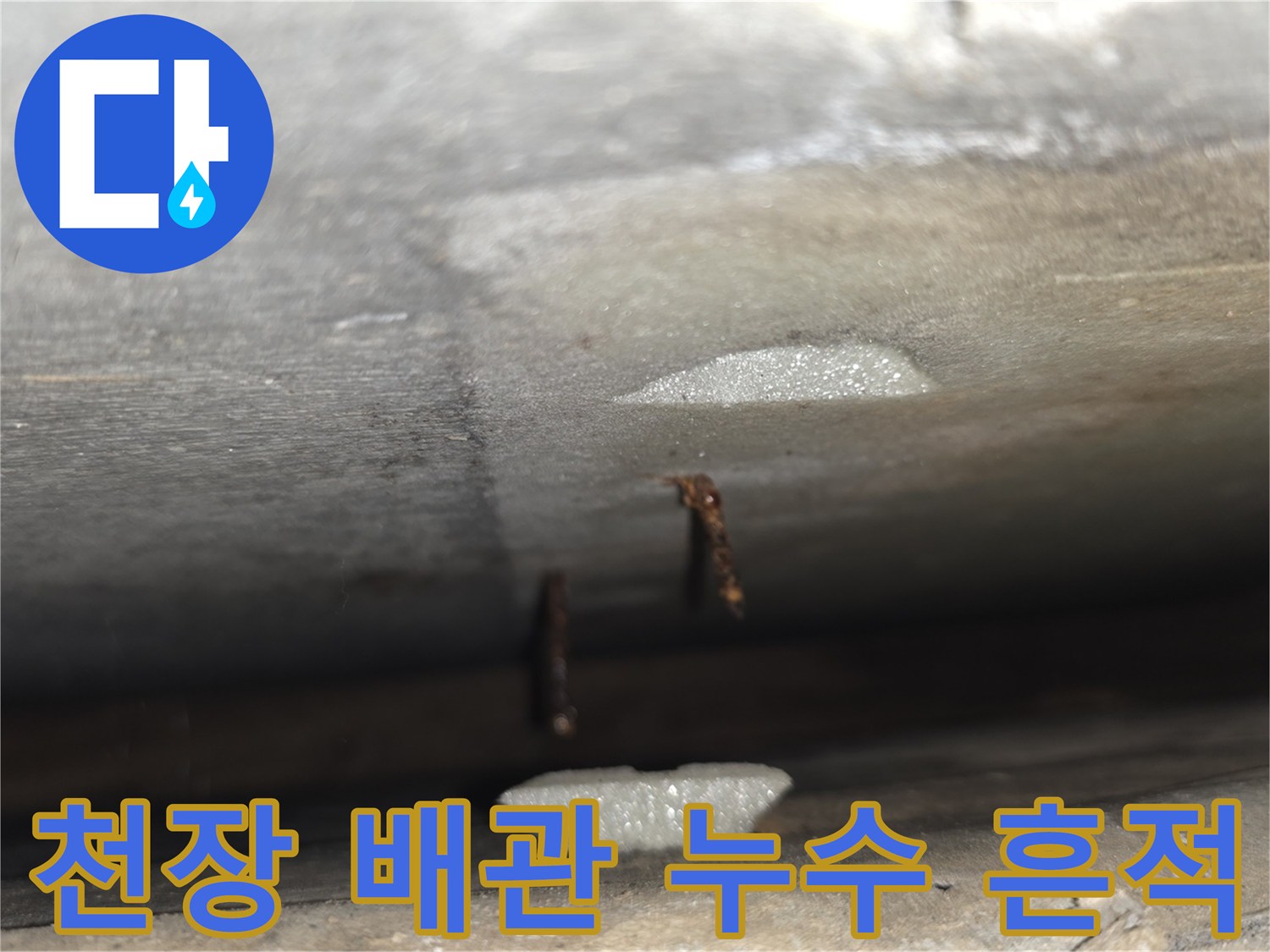아파트 천장 내부 배관 보온재 사이로 보이는 누수 흔적과 물고임 현상