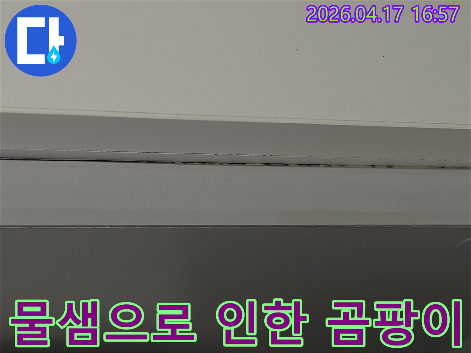 벽과-천장-사이-틈새에서-발견된-누수-징후인-곰팡이를-상세하게-보여주는-사진입니다.