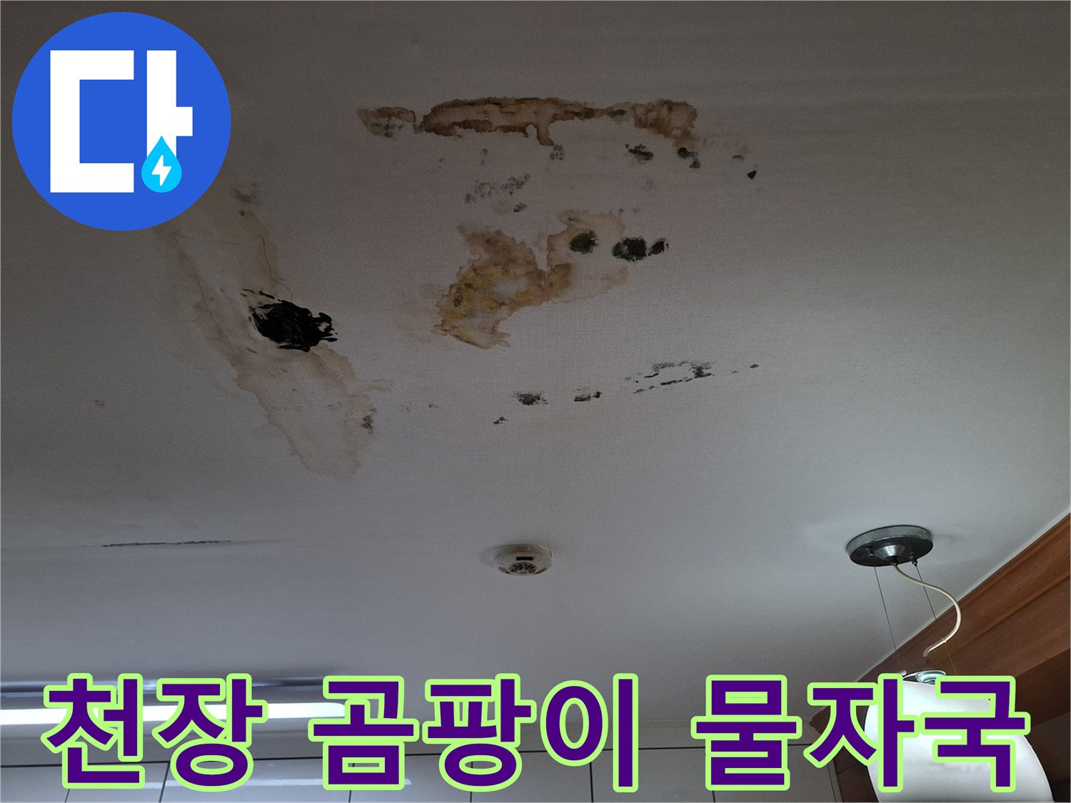 남양주 평내동 아파트 천장의 갈색 물자국과 검은 곰팡이 현상