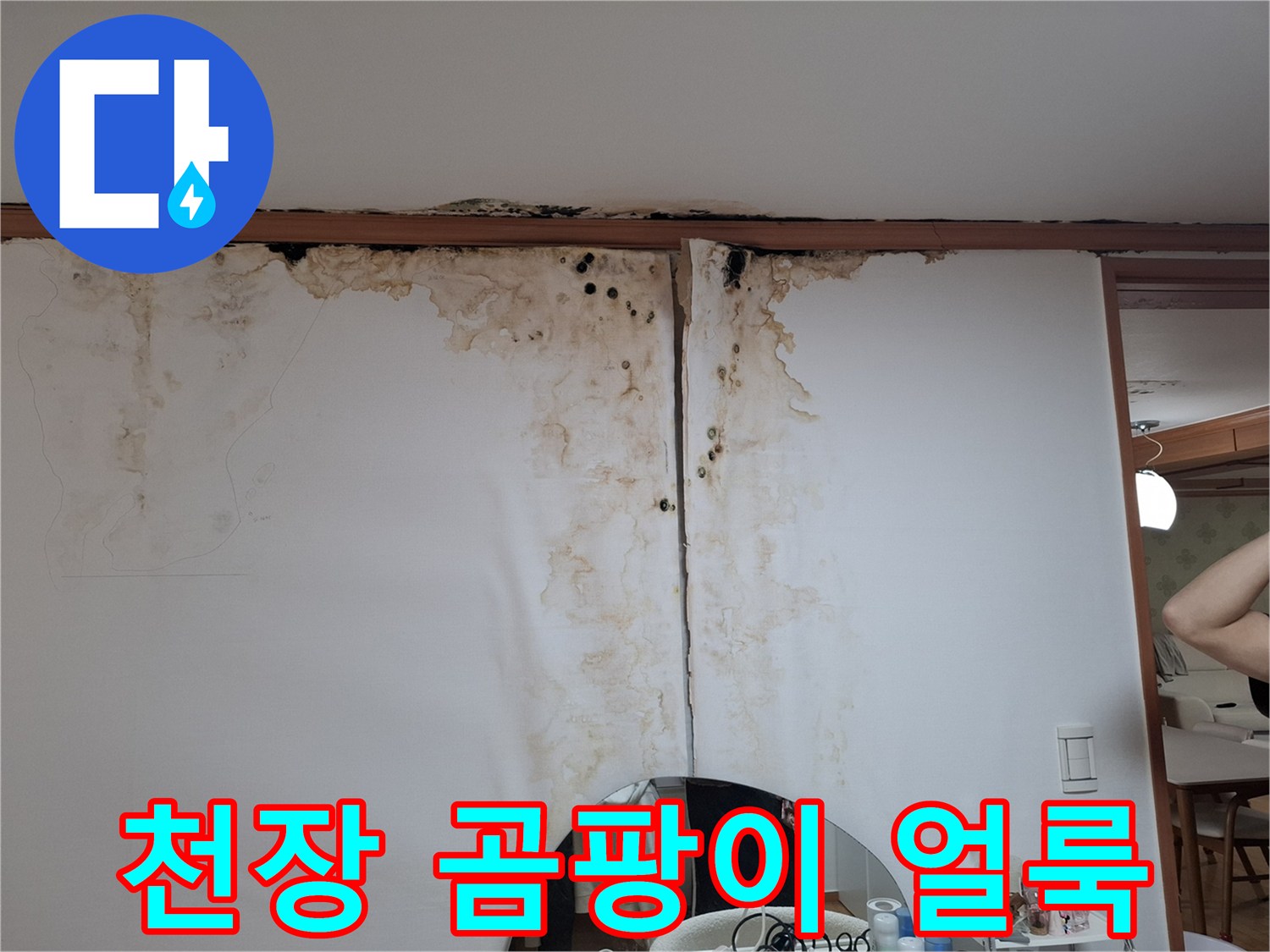 남양주 평내동 현장-천장 벽지 곰팡이와 물자국 상태