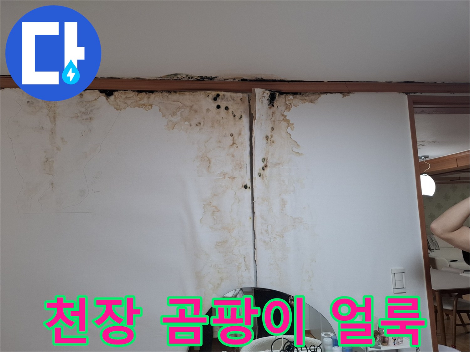 아랫집 천장 벽지에 나타난 누수 흔적과 곰팡이 오염