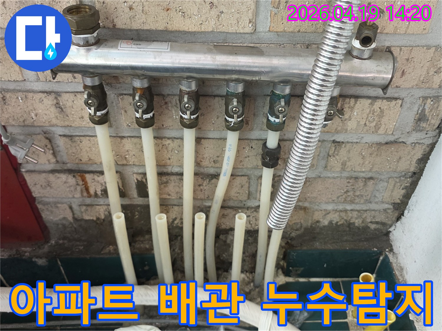 종로구 숭인동 아파트-배관 누수-신속하고 정확한-탐지 과정-전문가 작업