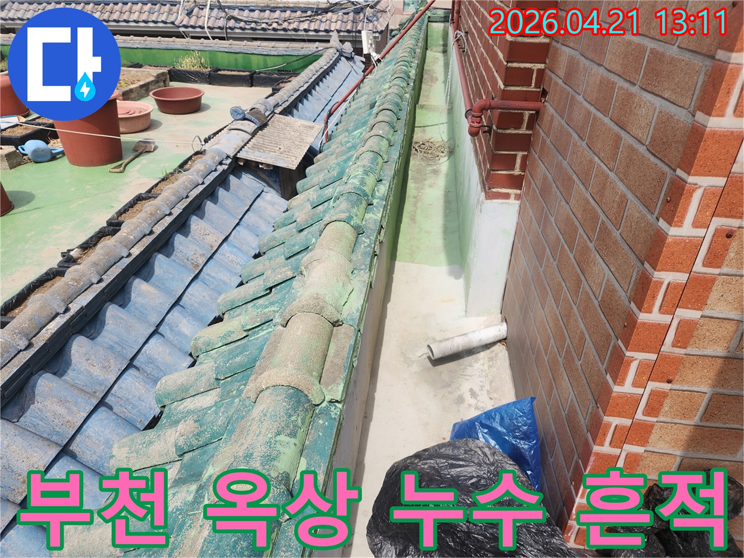 오래된 기와지붕과-벽 사이 좁은 공간에서-오랜 시간 누적된-누수 흔적 발견
