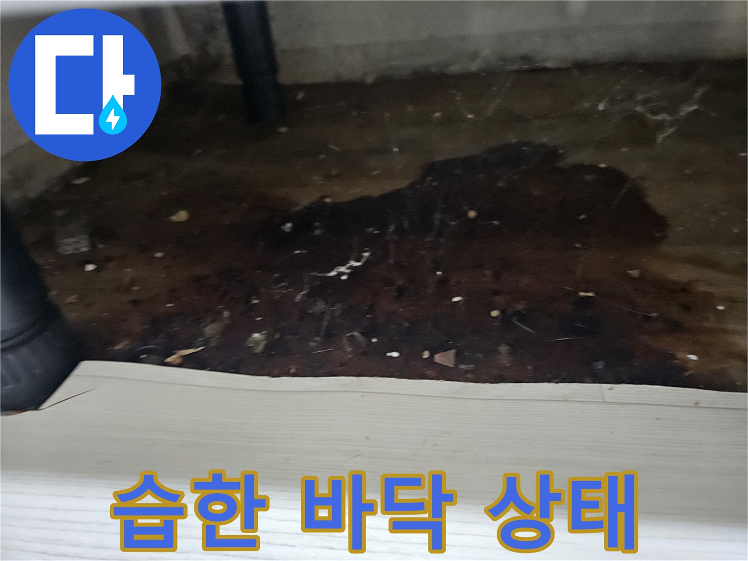 누수-문제로-인해-바닥이-축축하고-지저분해진-모습을-누수-전문가가-기록한-이미지