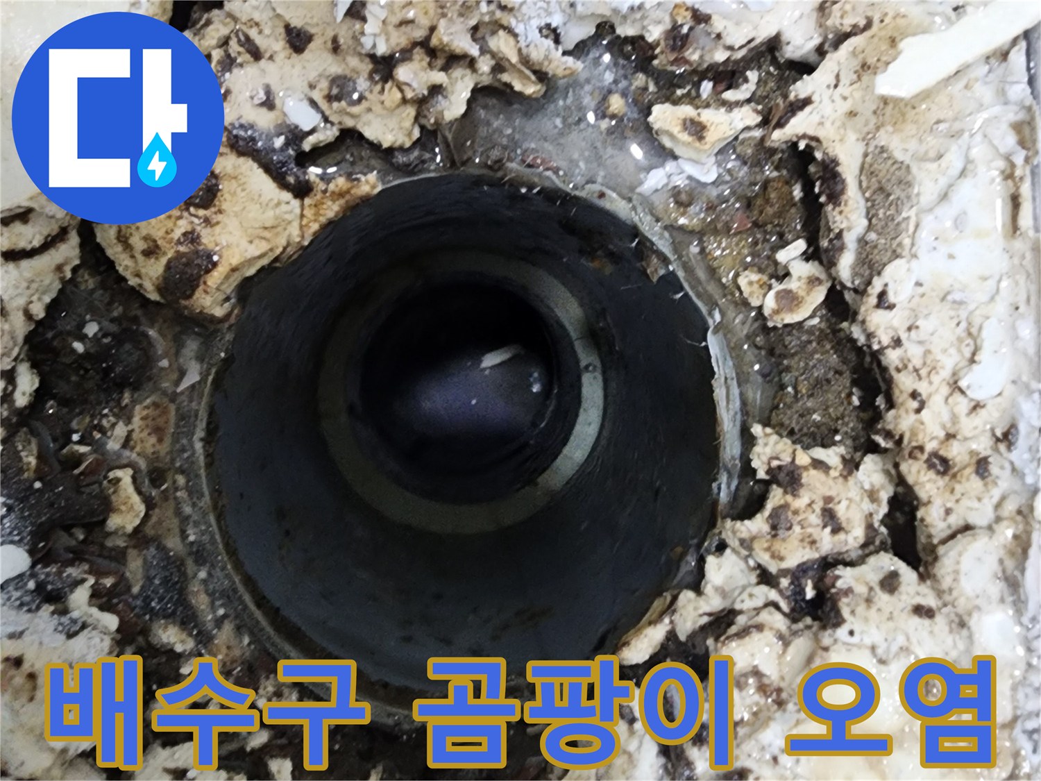 빌라 욕실 배수구 주변에-발생한 곰팡이와 오염으로-누수 원인을 탐지하는 모습