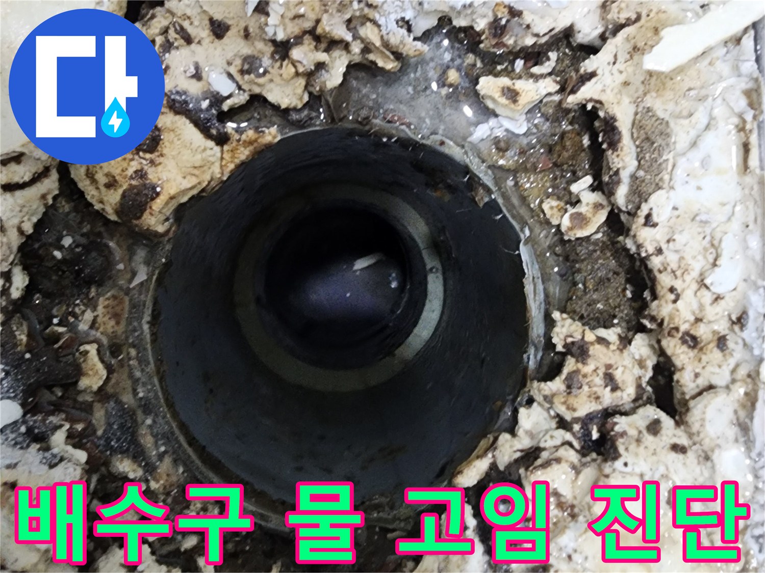 빌라 욕실 배수구 주변에서-발견된 물 고임 현상을-정밀하게 진단하는 모습