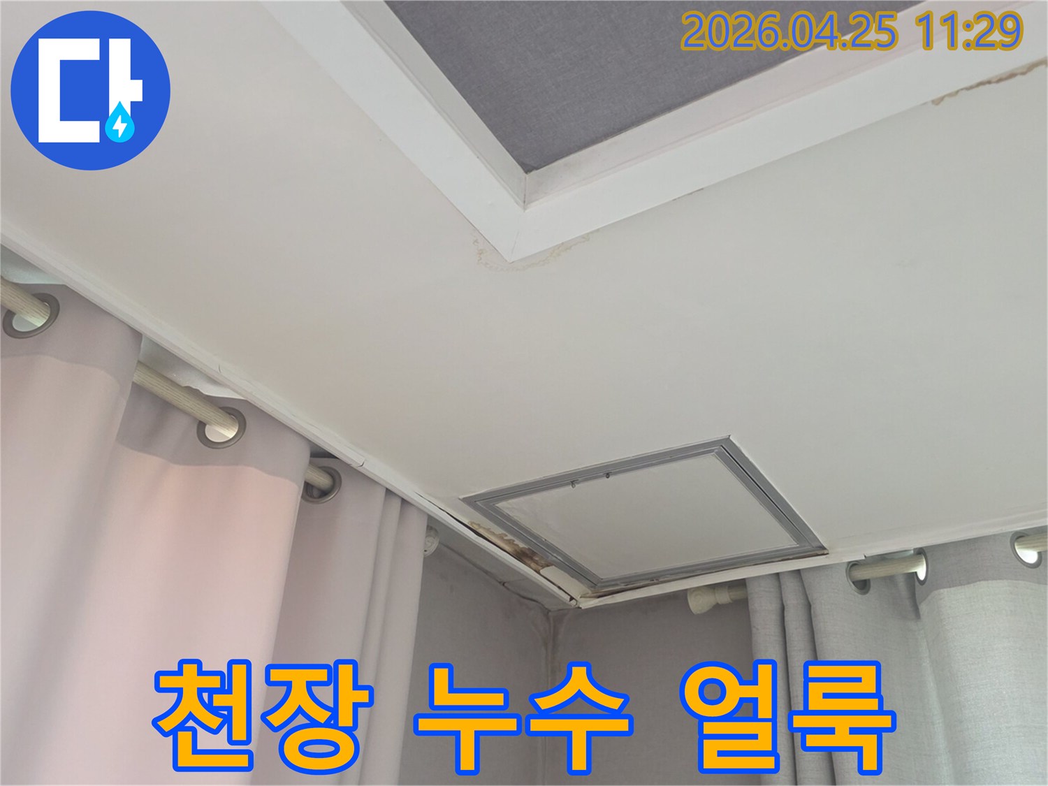 누수로-인한-천장-변색과-곰팡이-증식-현장