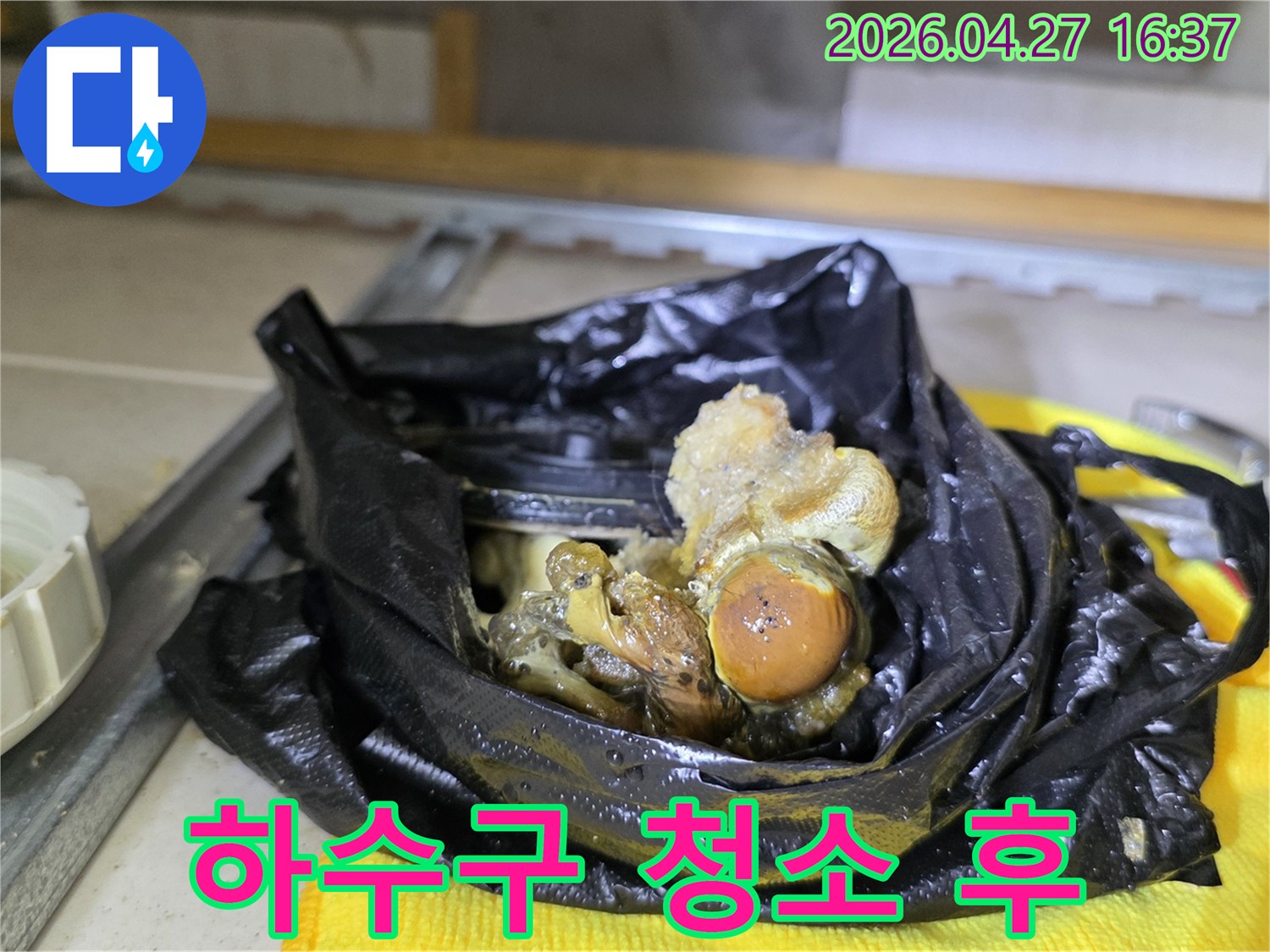 욕실-배수관에서-발견된-머리카락과-생활-오물-덩어리-제거-현장입니다