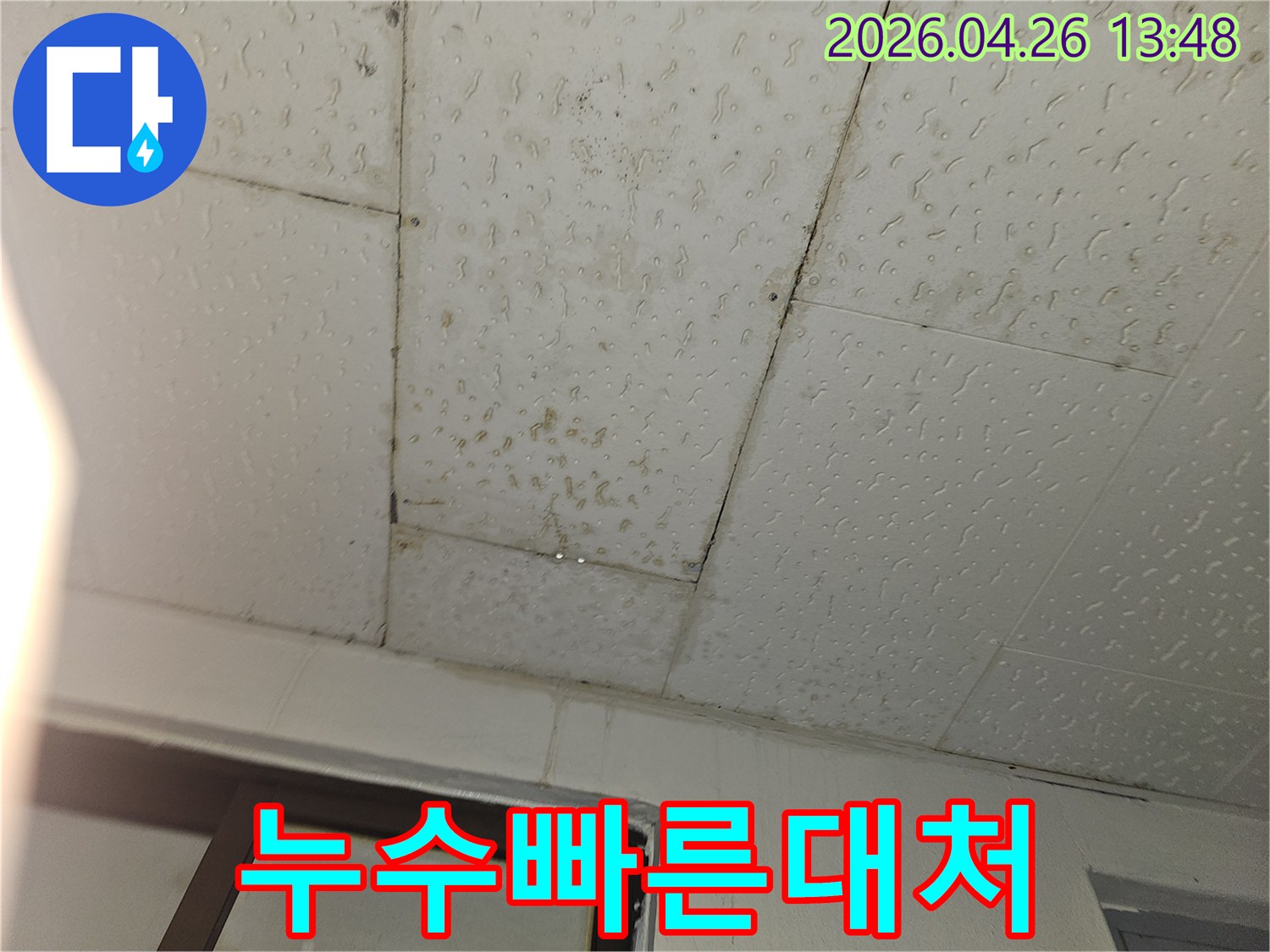 타일-바닥에-물기가-고여있는-누수-현장을-촬영한-사진으로-신속한-대처의-중요성을-강조