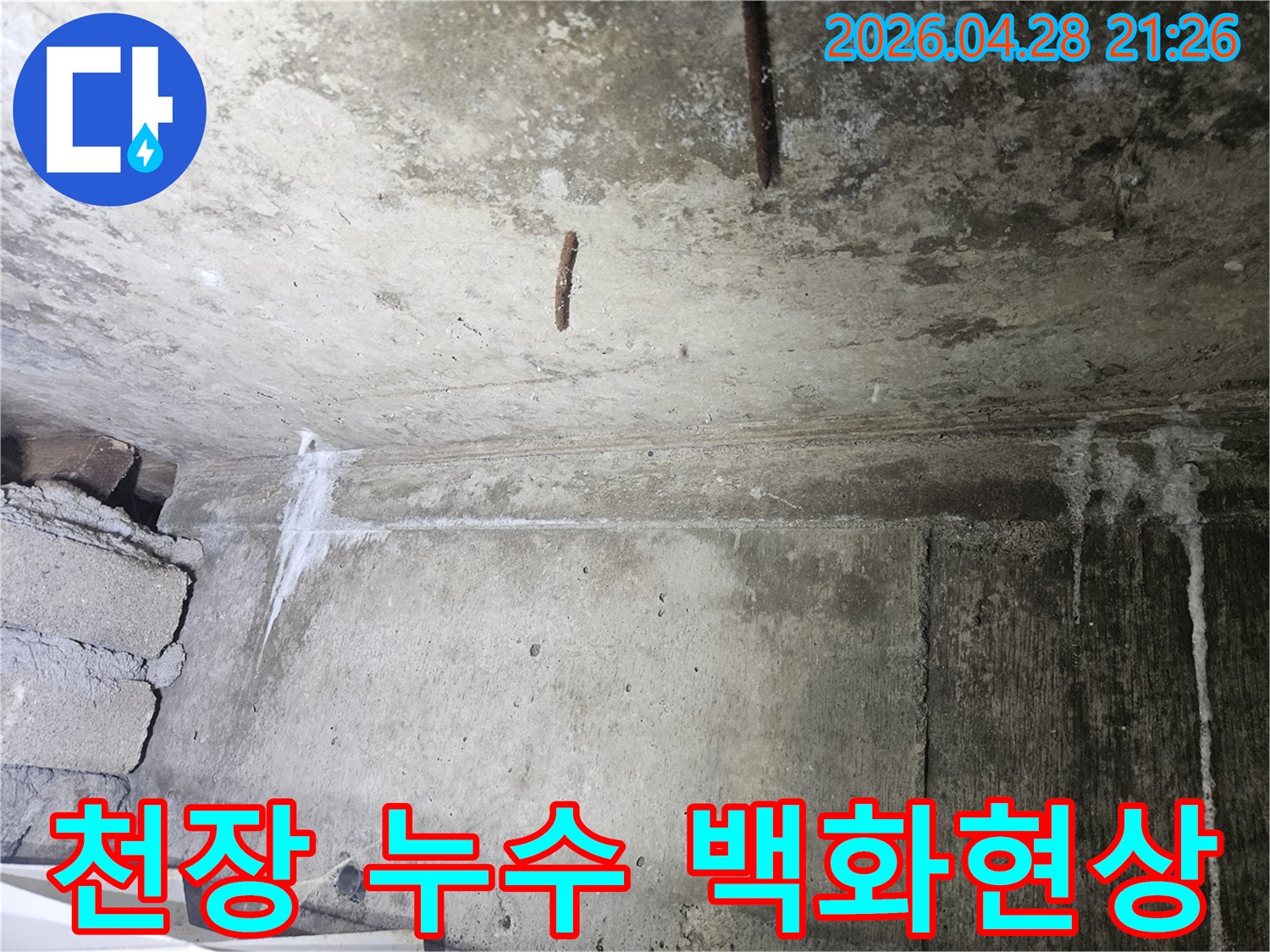 콘크리트 천장에서-발견된-누수 흔적과-하얀 백화현상-그리고-녹슨 철근을-보여주는-현장 사진입니다.
