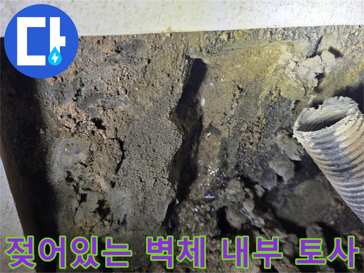 물에-젖은-흙과-노출된-배수-호스