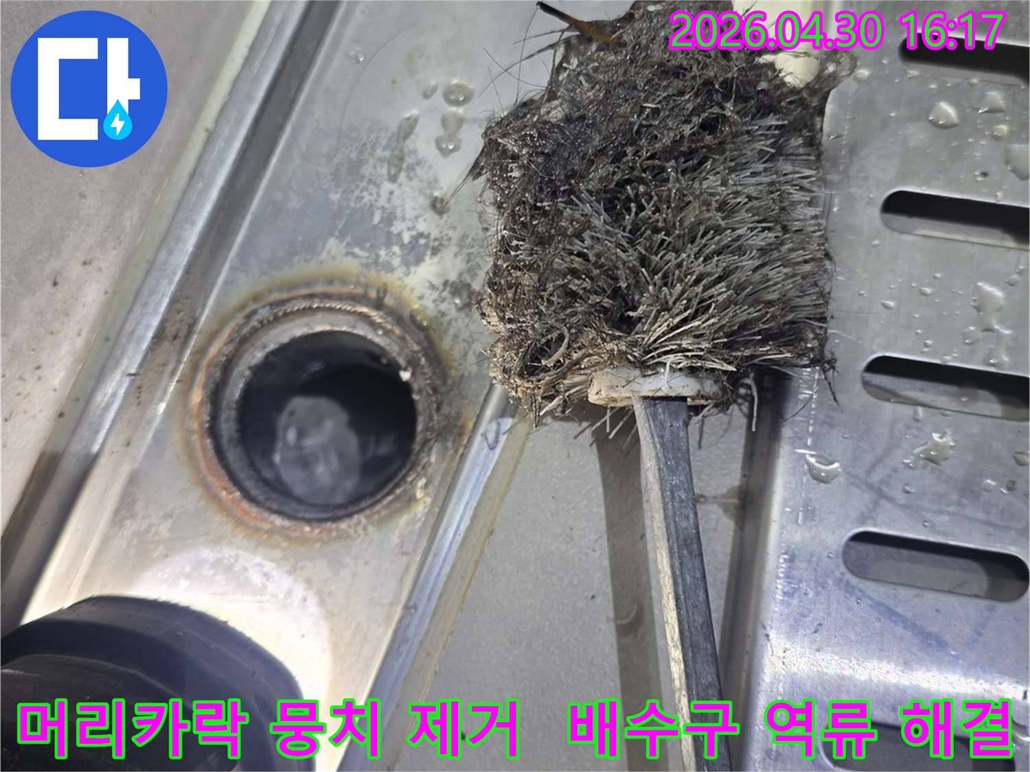 배수구-내부에-가득-찬-머리카락-뭉치를-제거하는-모습-배수구-역류-해결을-위한-청소-작업