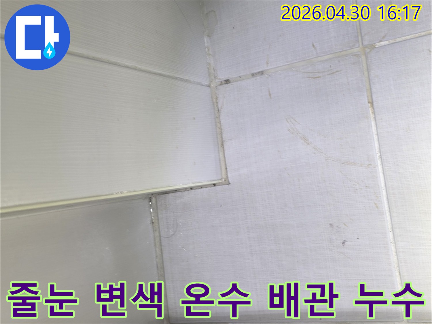 아파트-욕실-타일-줄눈-변색-현상-온수-배관-누수-가능성-정밀-탐지-필요