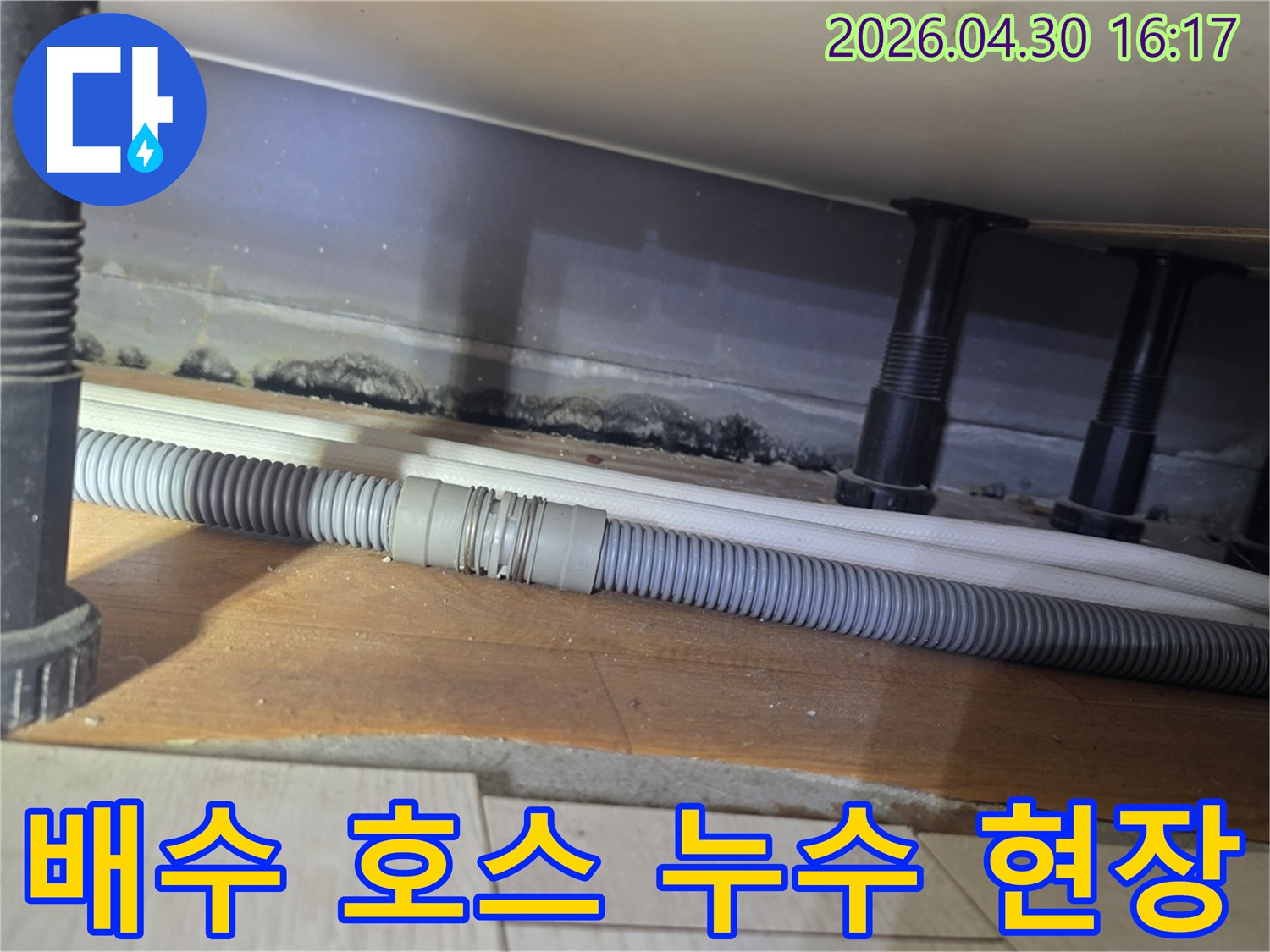 오래된 배수 호스-연결 부위에서-발생한 누수로 인해-벽면에 번식한-심각한 곰팡이