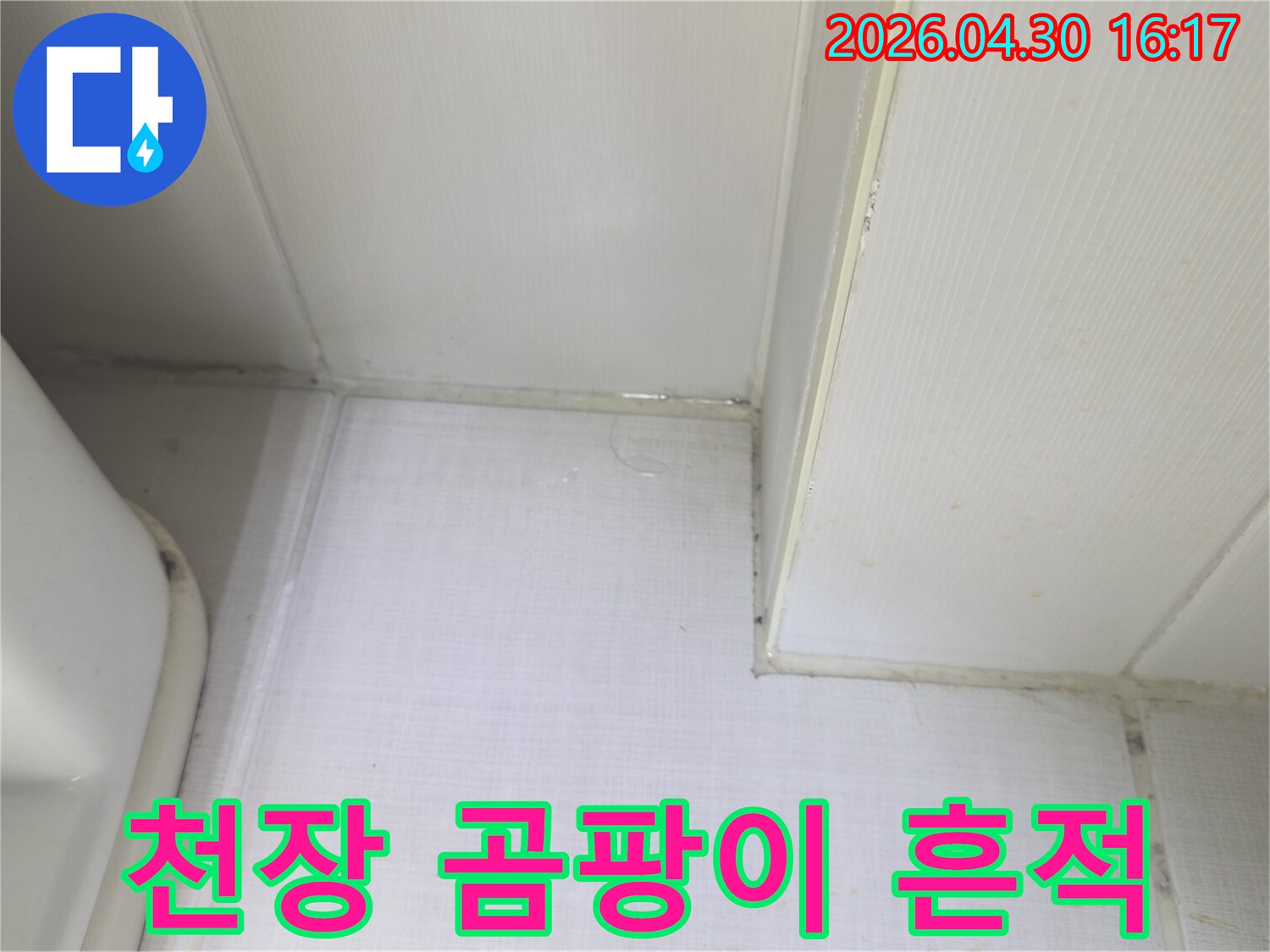 천장과 벽의 경계에서 물이 새어 나와-벽지가 젖고 곰팡이가 시작되는-누수 피해 현장의 증거 사진