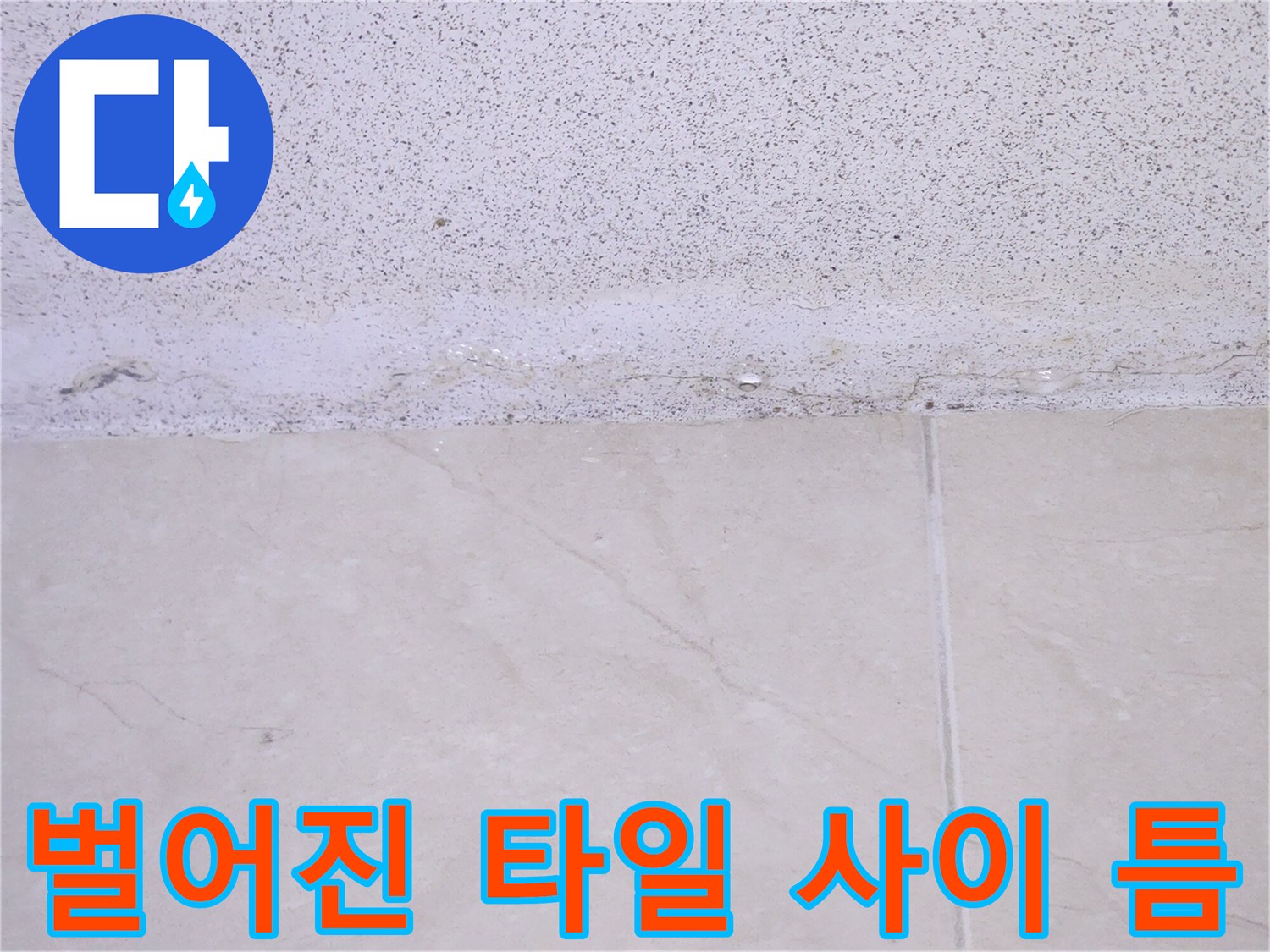 타일 줄눈이 유실되어 빈 공간이 드러난 부위