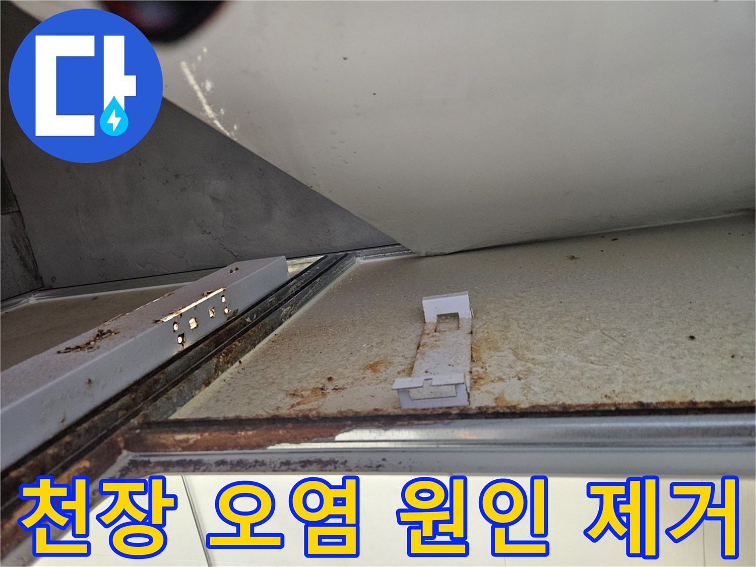 욕실 천장에서 누수로 인한 오염 원인 파악 및 제거 작업-깨끗한 환경 조성