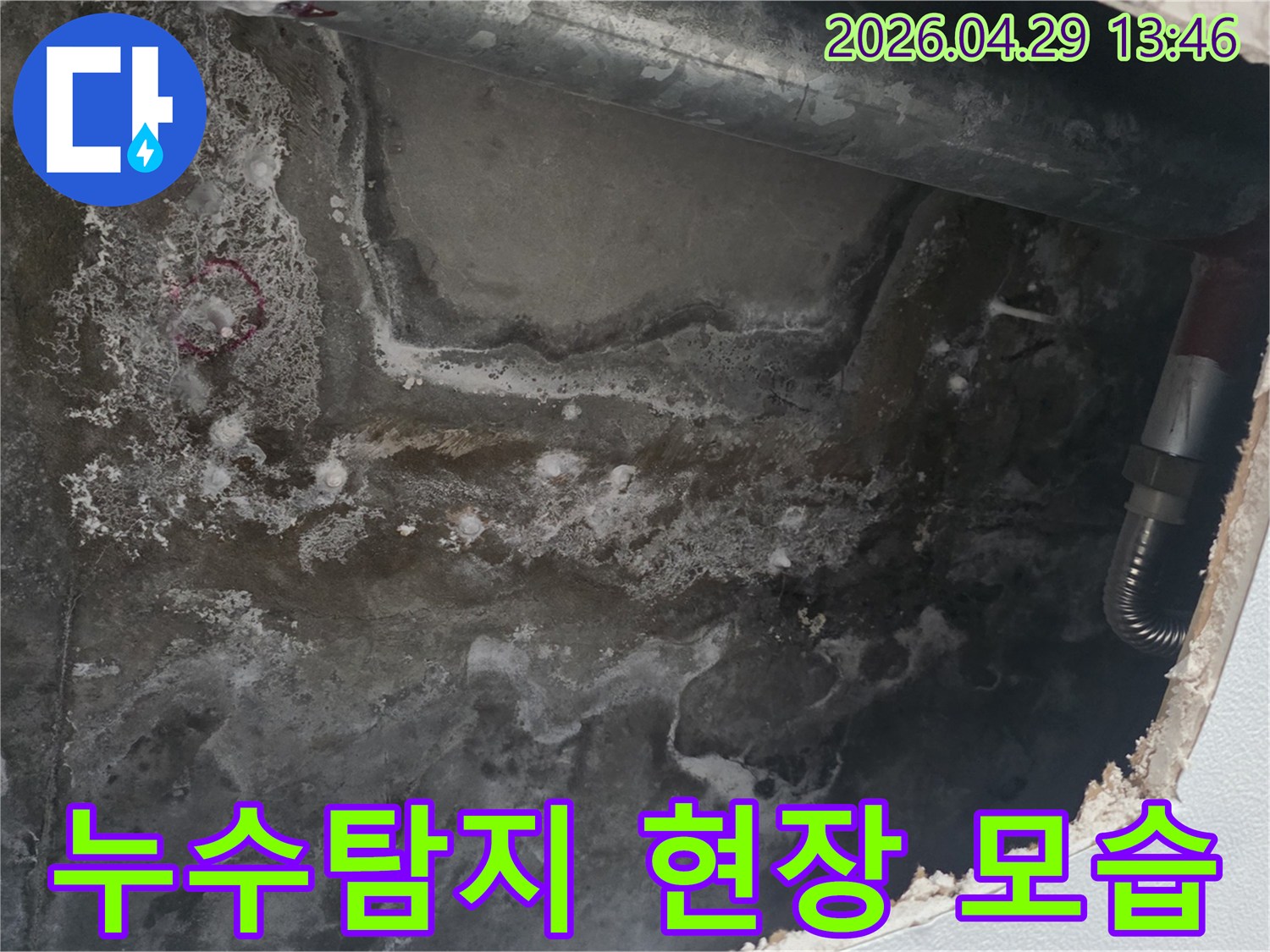 천장 콘크리트 표면에-누수로 인한 물자국과-곰팡이가 광범위하게 퍼져있는 현장 사진입니다.