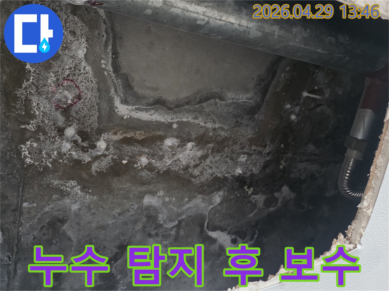 천장 콘크리트 표면에-누수로 인한 물자국과-얼룩이 광범위하게 퍼져있는 현장 사진입니다.