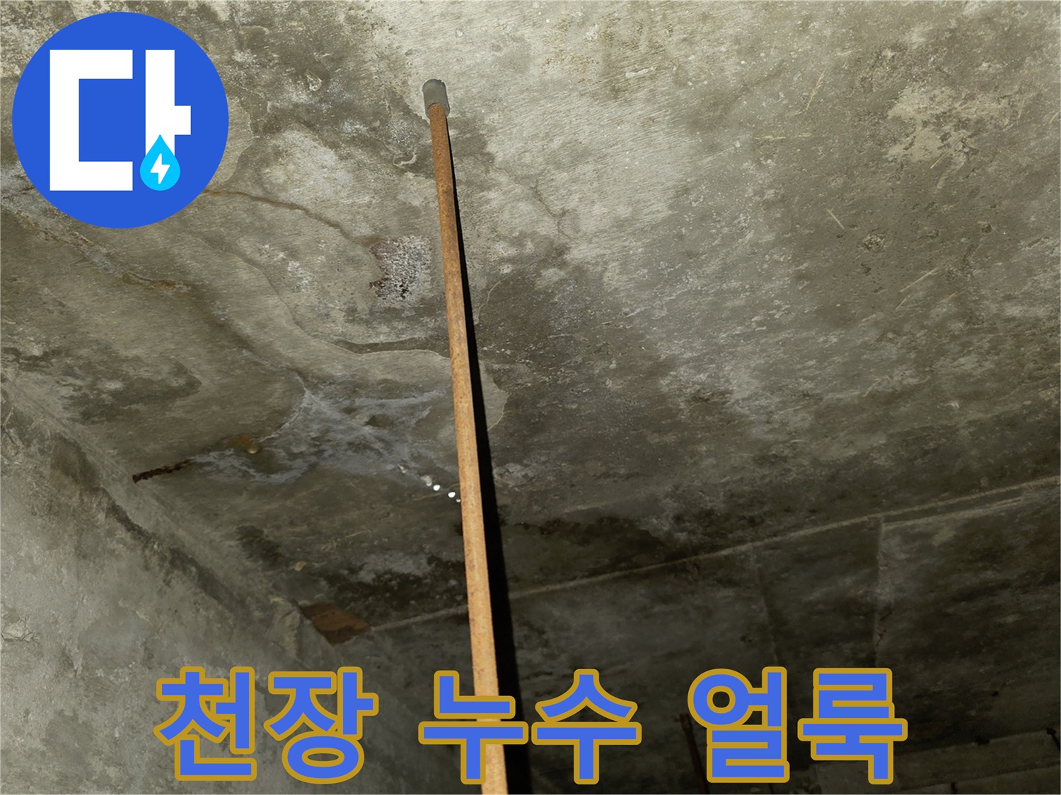 습기로 인해 젖고 변색된 천장 석고보드 상태