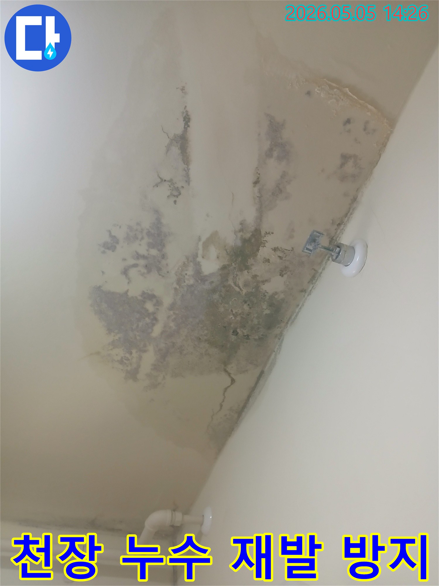 시흥 아파트 천장에 누수로-인해 발생한 심각한 곰팡이-오염과 물-얼룩을 보여주는 현장 사진