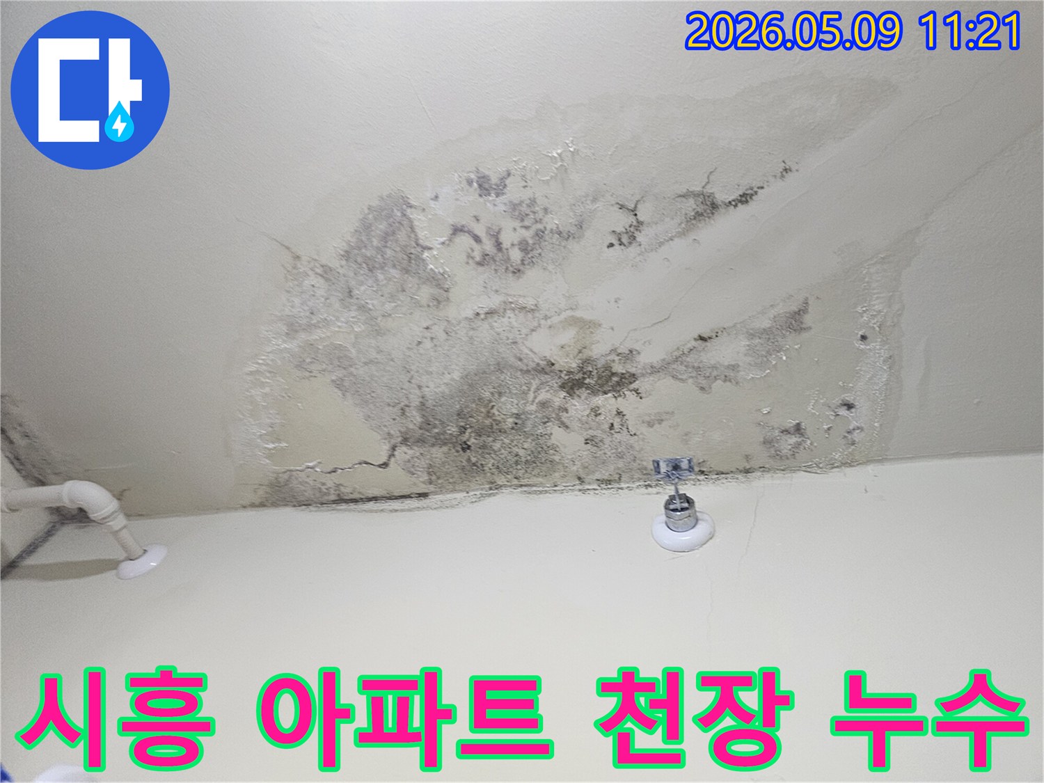 시흥 아파트 천장에 발생한 심각한 누수와-곰팡이 오염 현장 모습