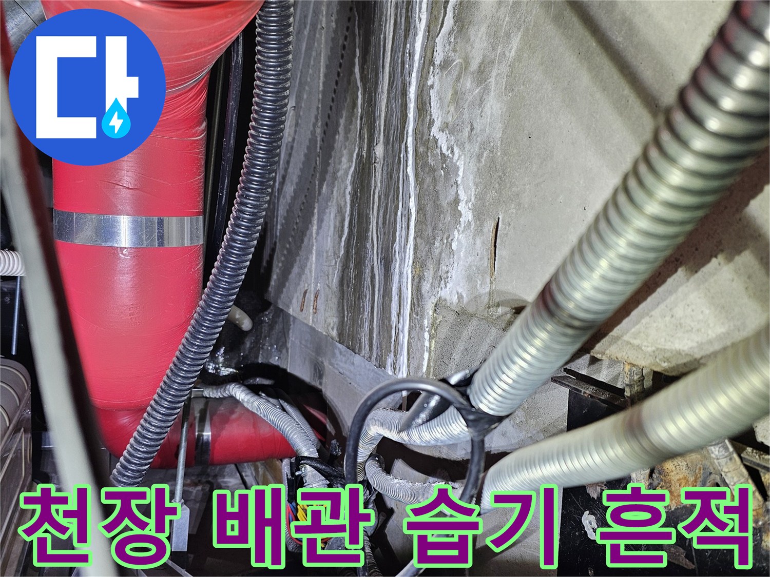 송파구 건물-천장 내부 배관 주변의 습기와 물자국 상태
