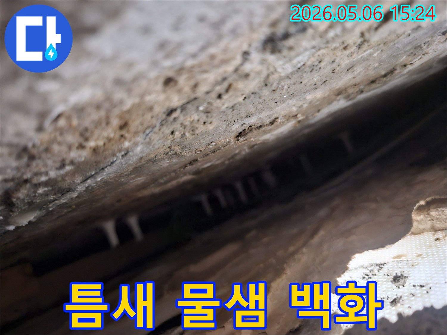 건물-틈새-사이로-물이-새면서-생긴-하얀-석회질-침전물을-확대하여-보여주는-사진입니다