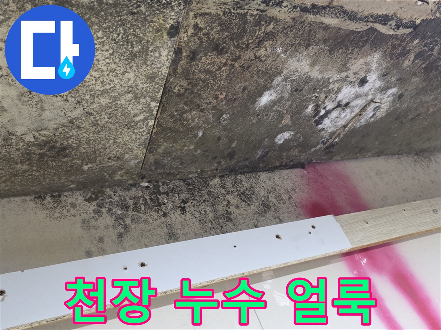 물샘 현상이 나타난 천장의 곰팡이와 변색 부위