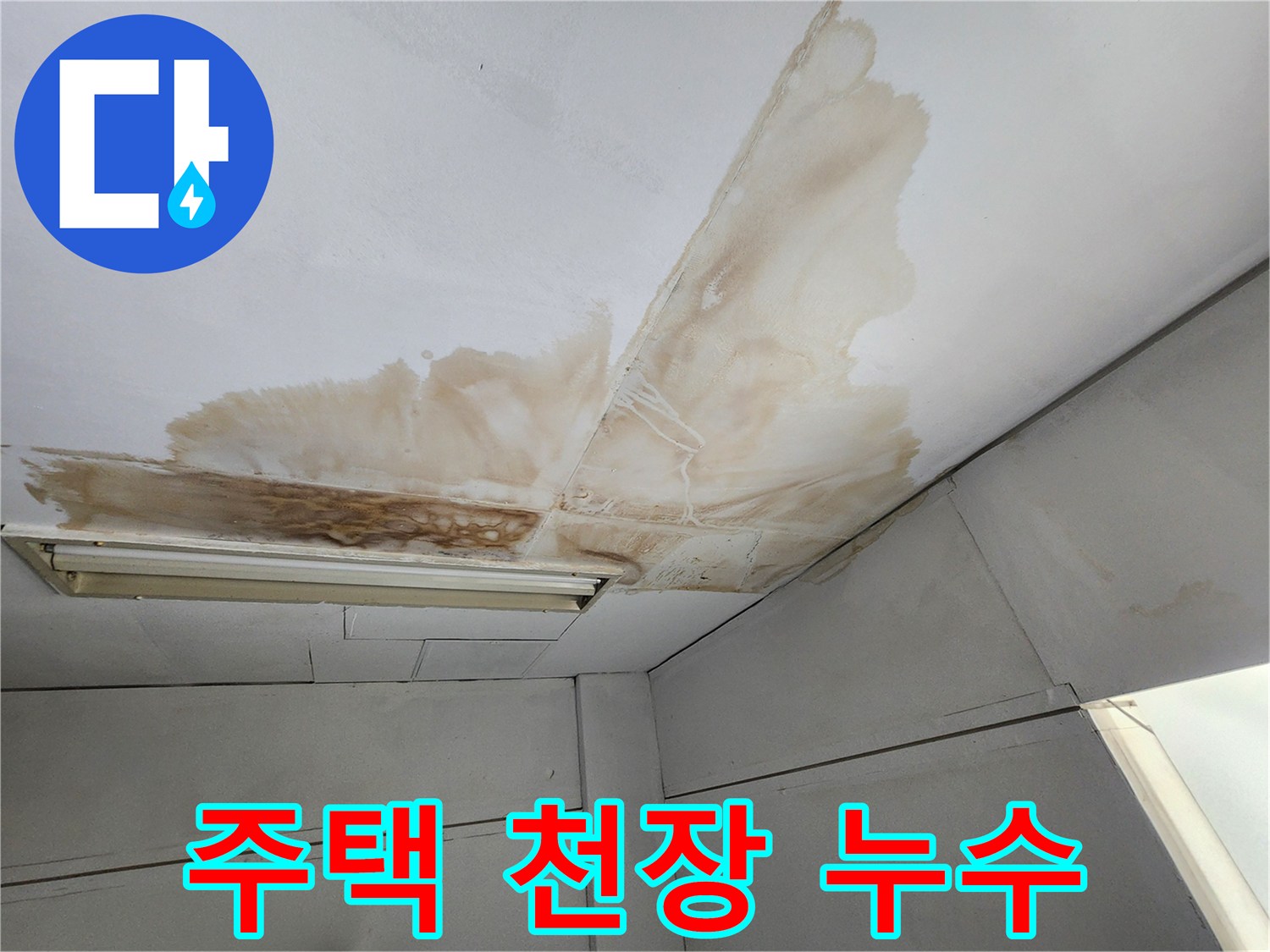 주택 천장 표면에 물이 새어 발생한 갈색 얼룩과 곰팡이가 넓게 퍼져있는 모습