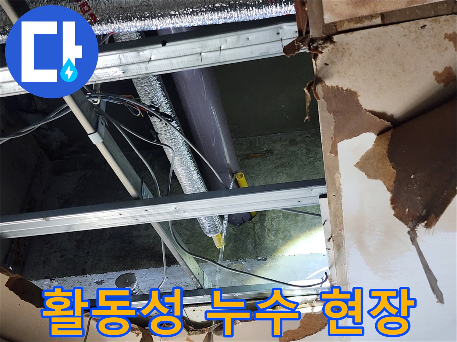 천안-목천읍-삼성5길-인근-누수-현장에서-물이-지속적으로-새고-있는-활동성-누수-상황을-보여주며-즉각적인-조치의-필요성을-강조합니다