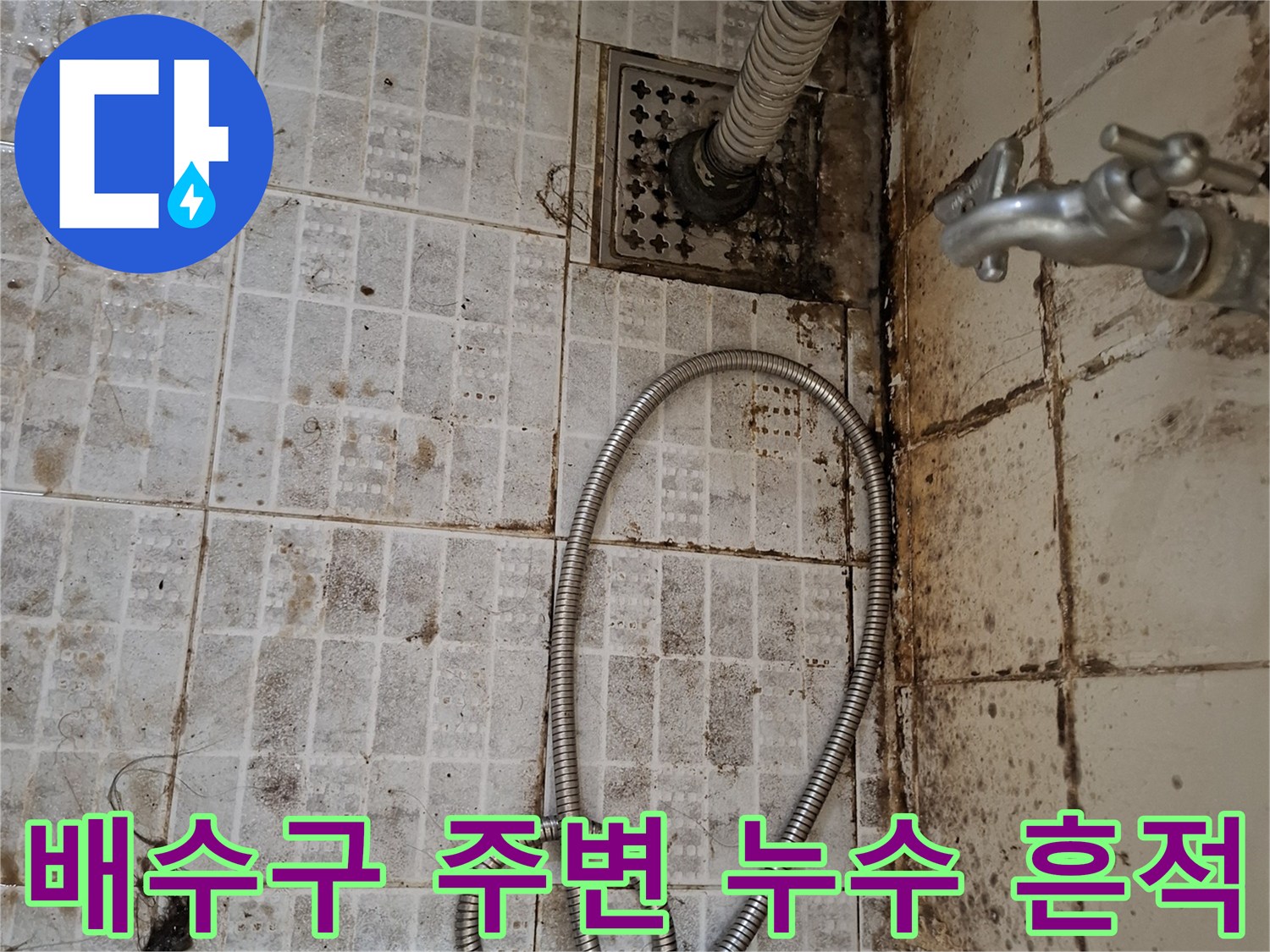 배수구-주변-타일-사이의-검은색-곰팡이와-오염