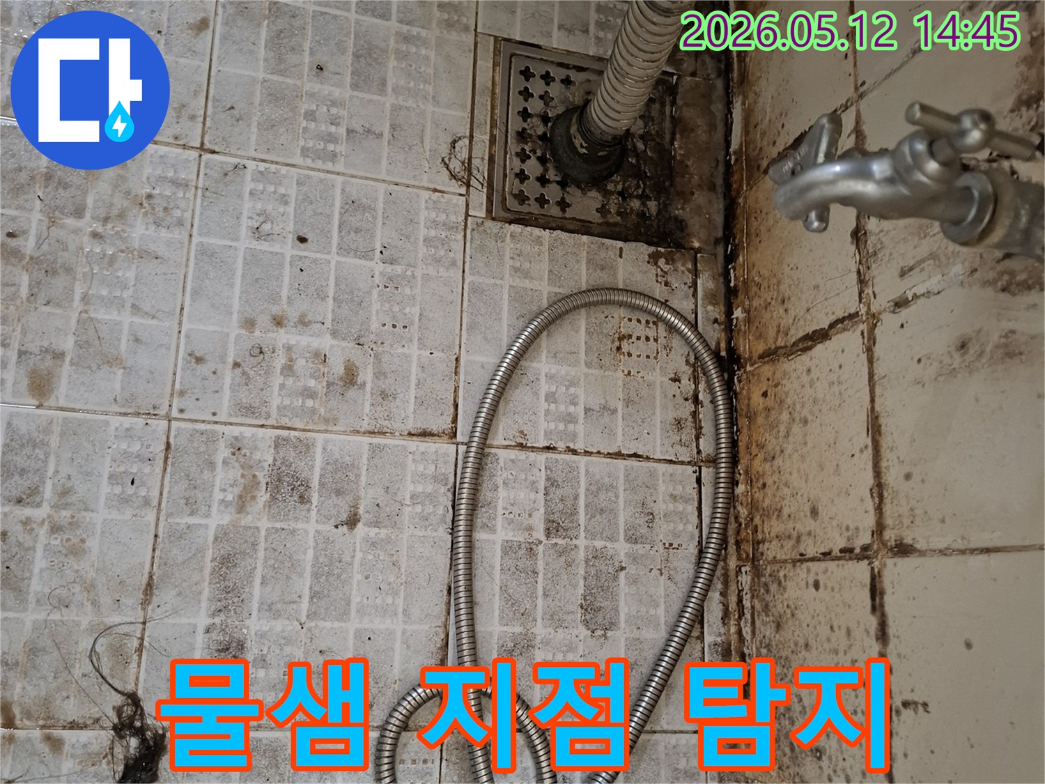 오래된-아파트-화장실-바닥의-타일-틈새와-배수구-주변에-심각하게-발생한-물샘-흔적이-누수-지점-탐지의-필요성을-보여주는-사진입니다