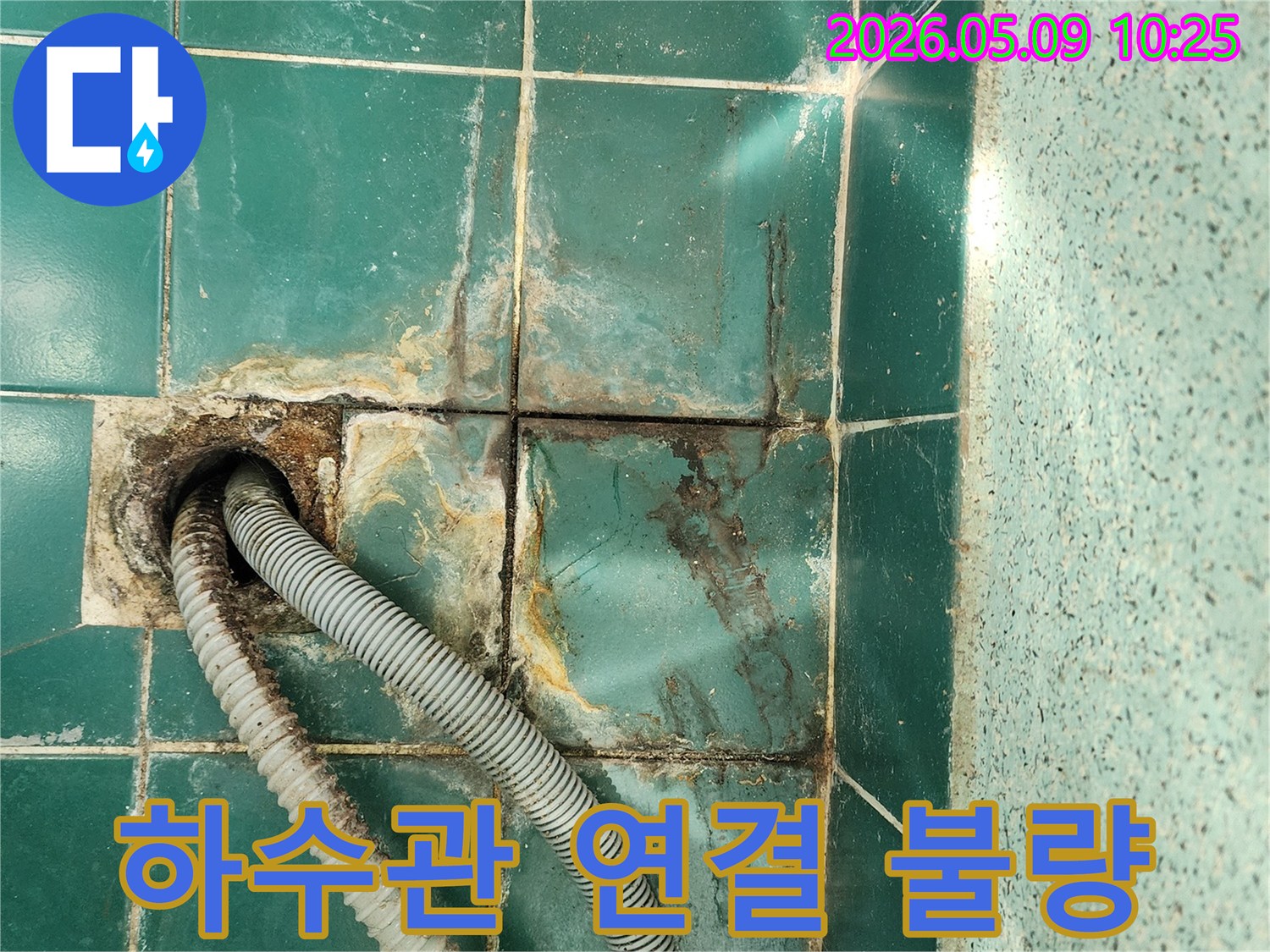 욕실 바닥 배수구의 하수관 연결 부위에서-누수가 발생하여 주변이 오염된 상태입니다