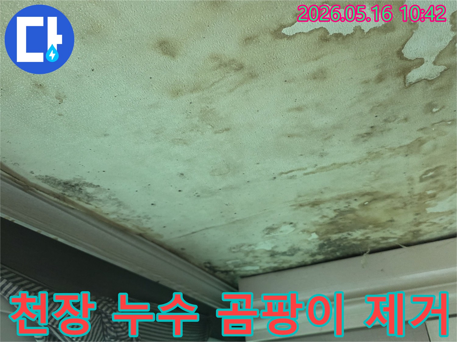누수로-인해-천장에-발생한-물자국과-곰팡이를-제거하기-위한-진단-현장입니다