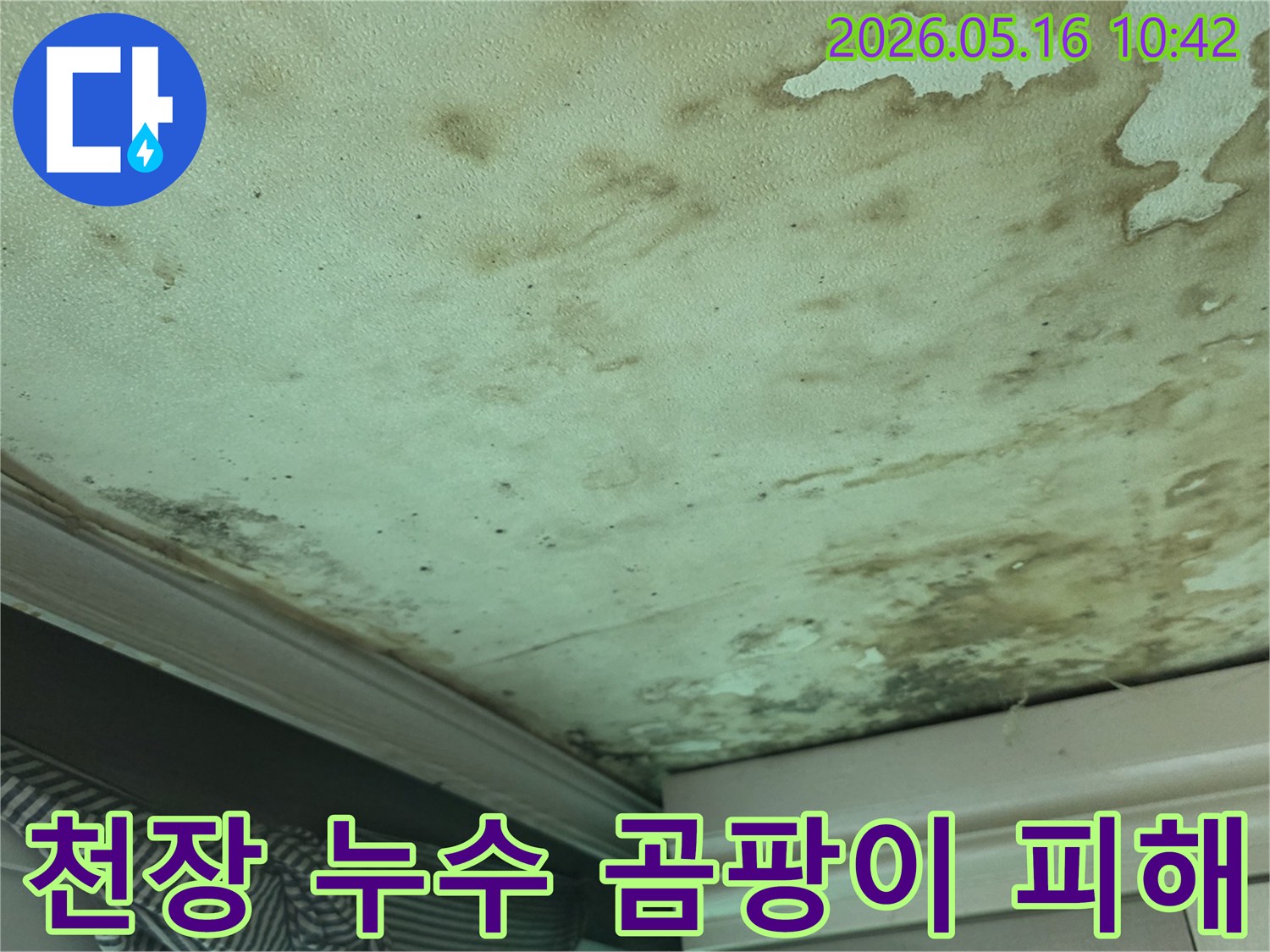 천장-누수로-인해-발생한-물자국과-곰팡이-피해가-심각한-현장-사진입니다